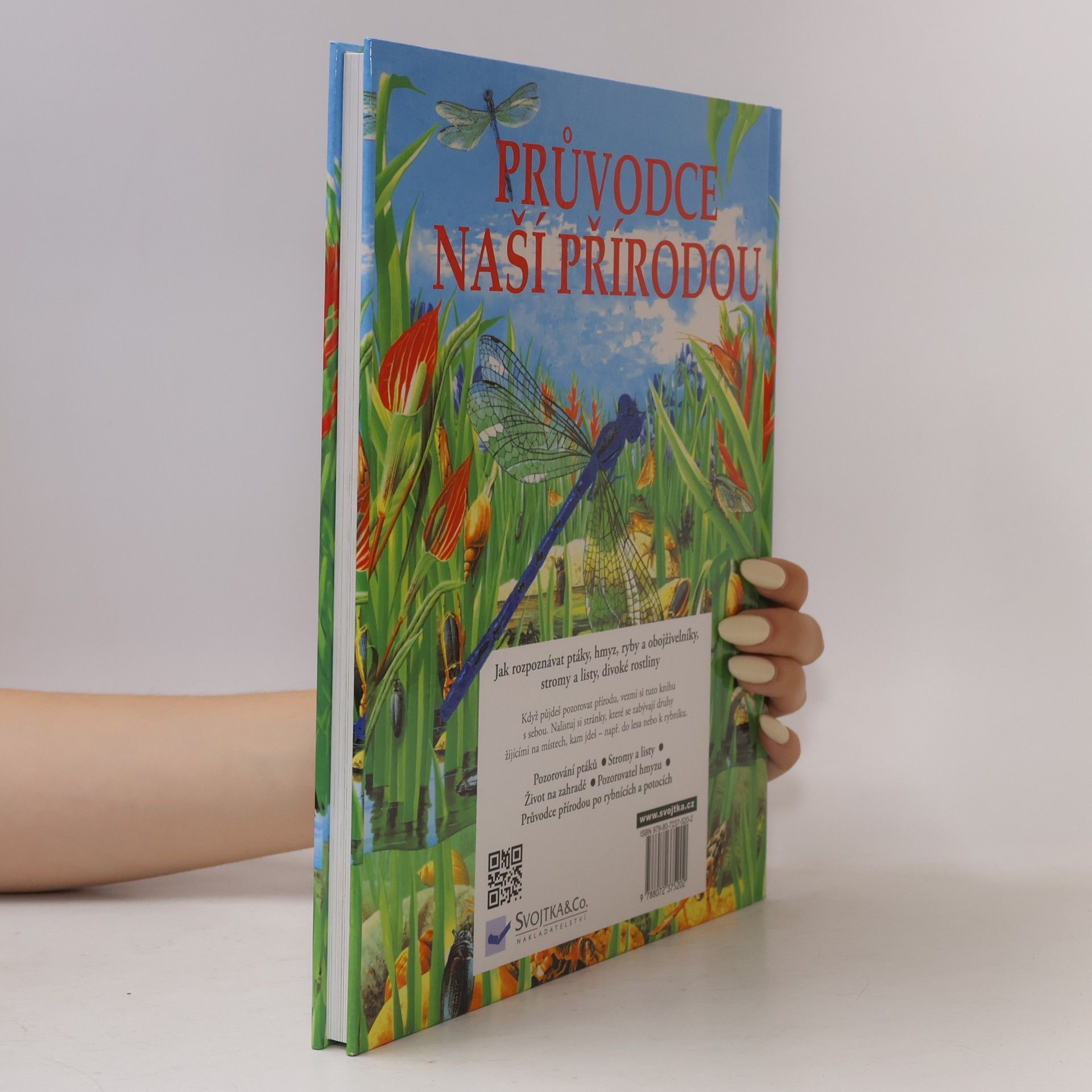 Autorenkollektiv Průvodce naší přírodou