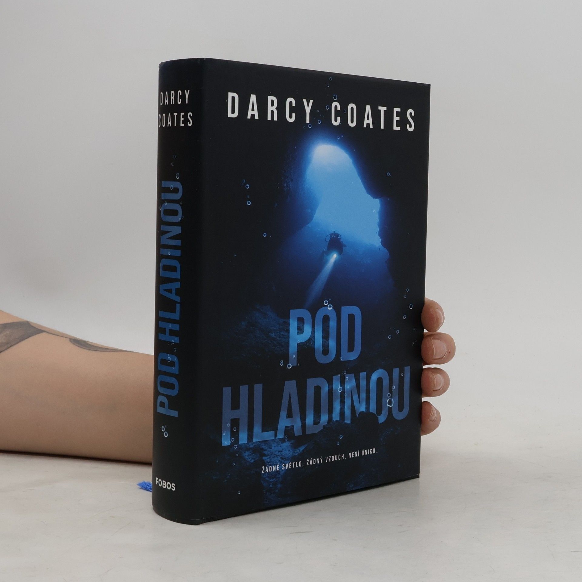 Darcy Coates Pod hladinou