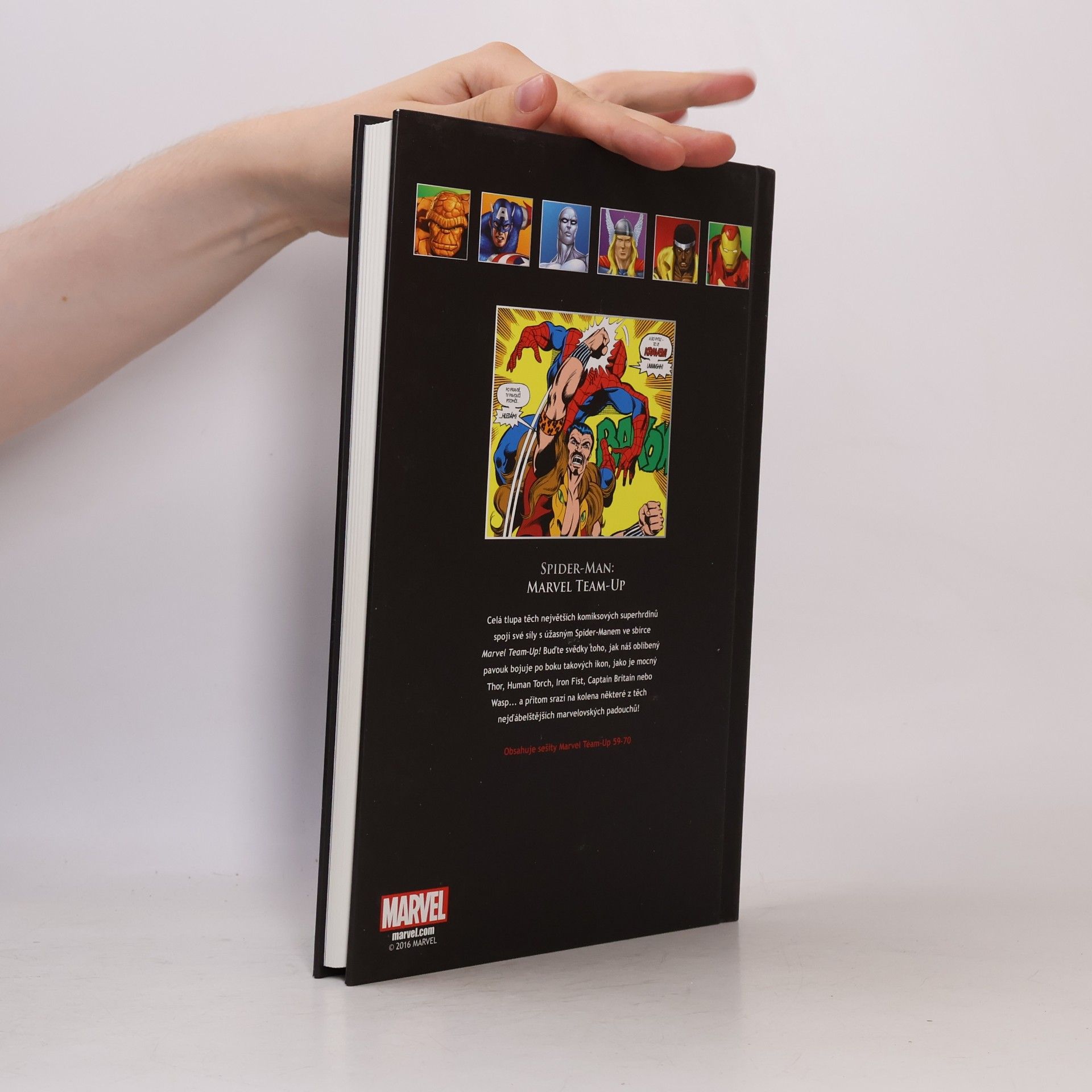 Kolektiv autorů Spider-Man. Marvel Team-Up