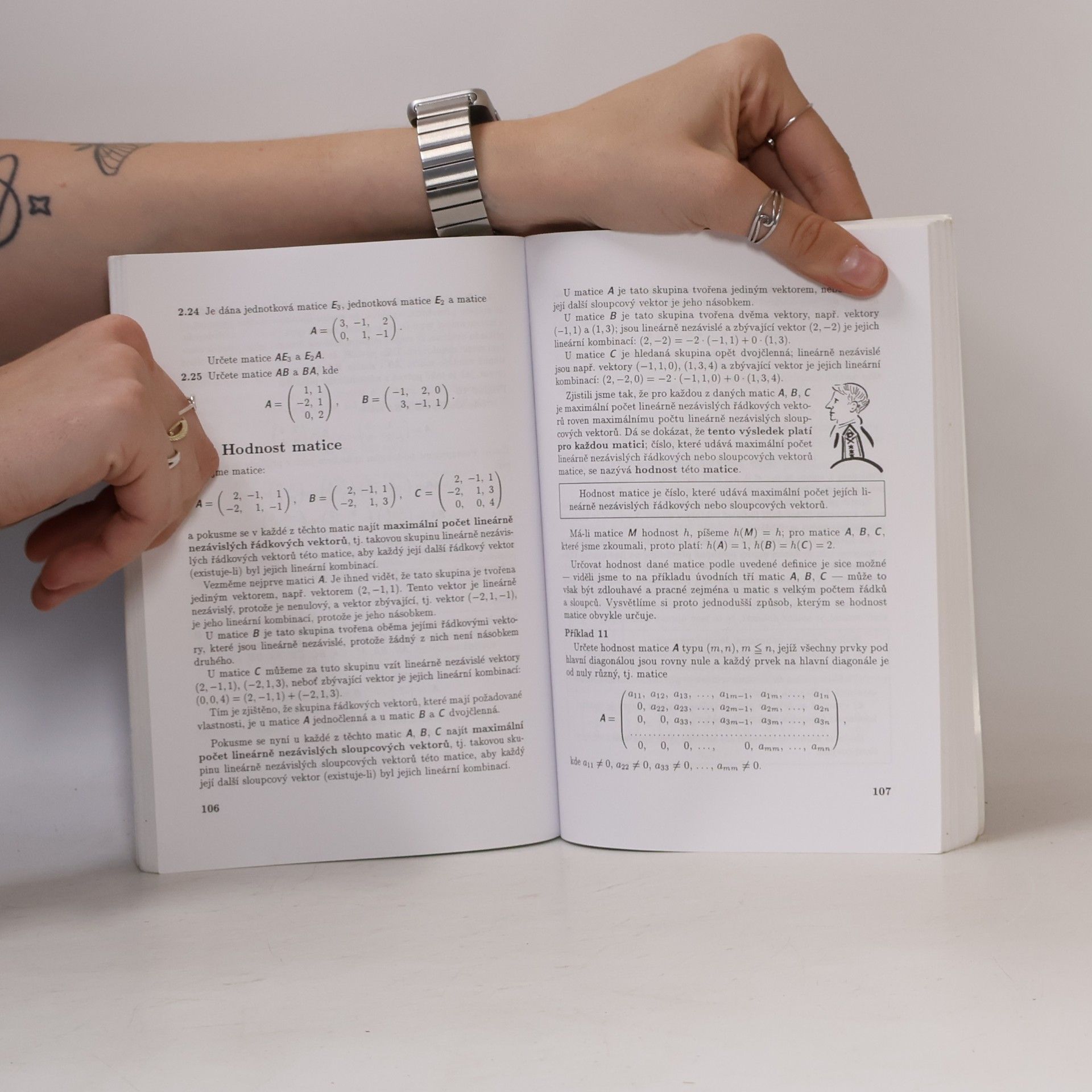 Emil Calda Matematika pro netechnické obory SOŠ a SOU. 4. díl