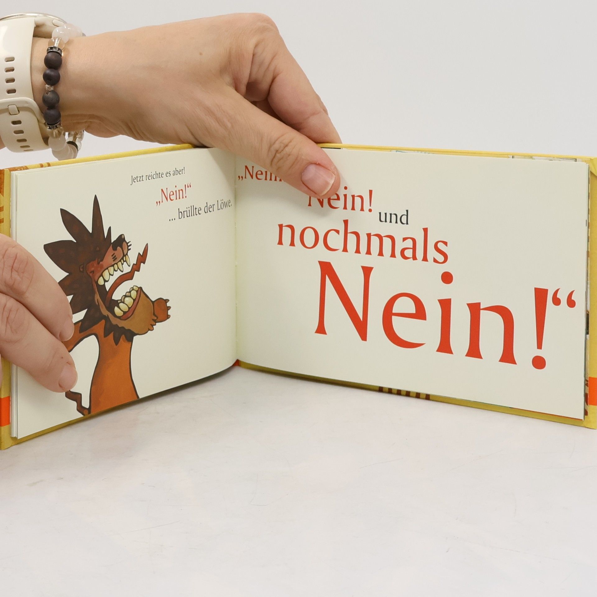 Martin Baltscheit Die Geschichte vom Löwen, der nicht schreiben konnte