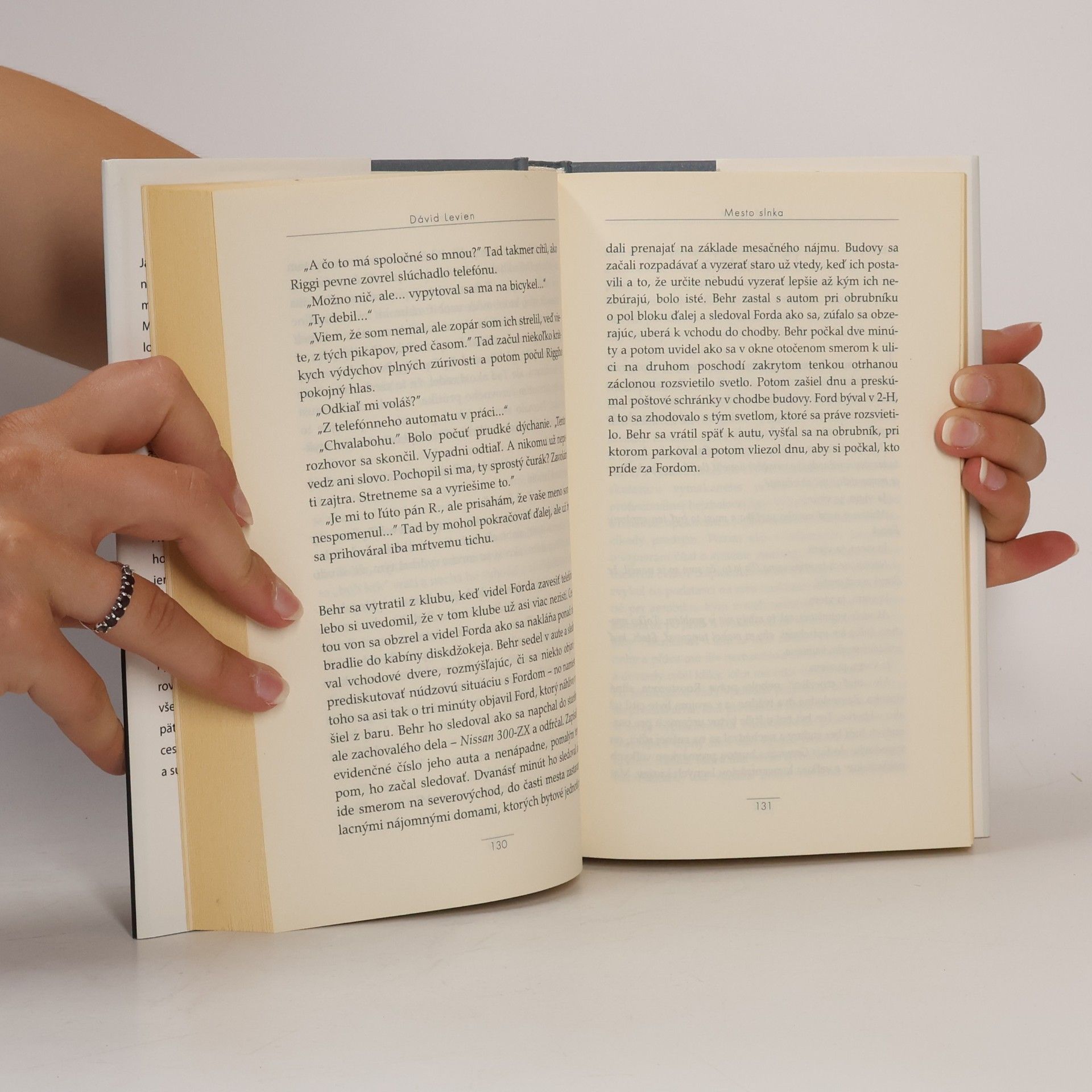 David Levien Mesto slnka