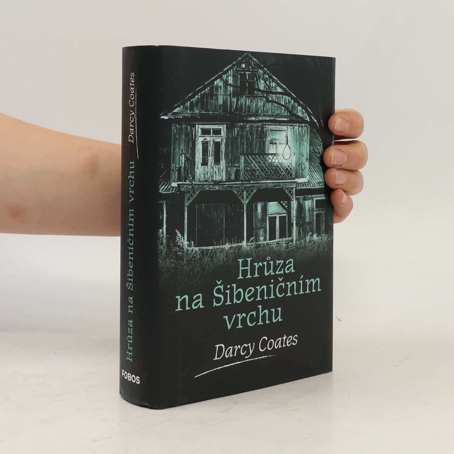 Darcy Coates Hrůza na Šibeničním vrchu