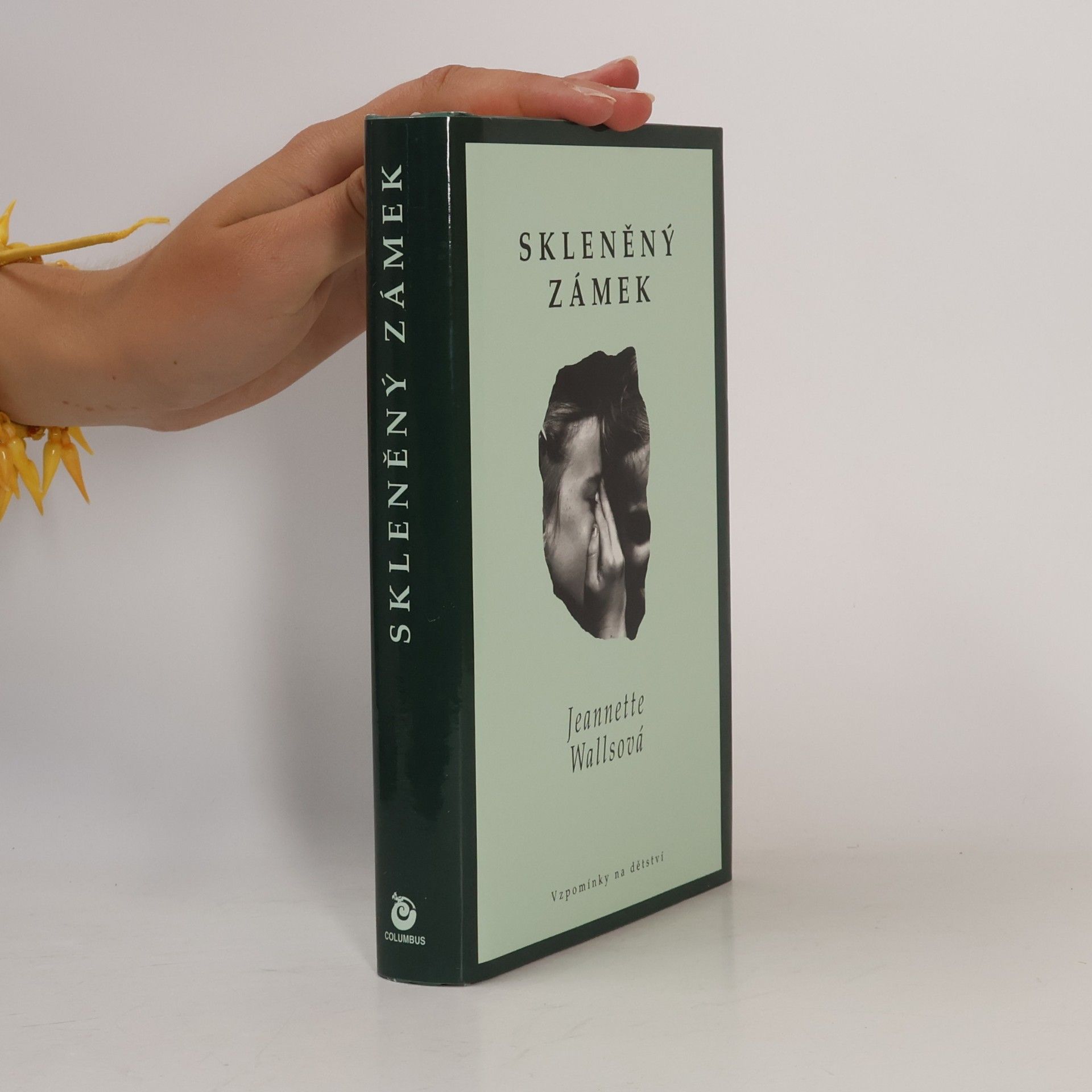 Jeannette Walls Skleněný zámek