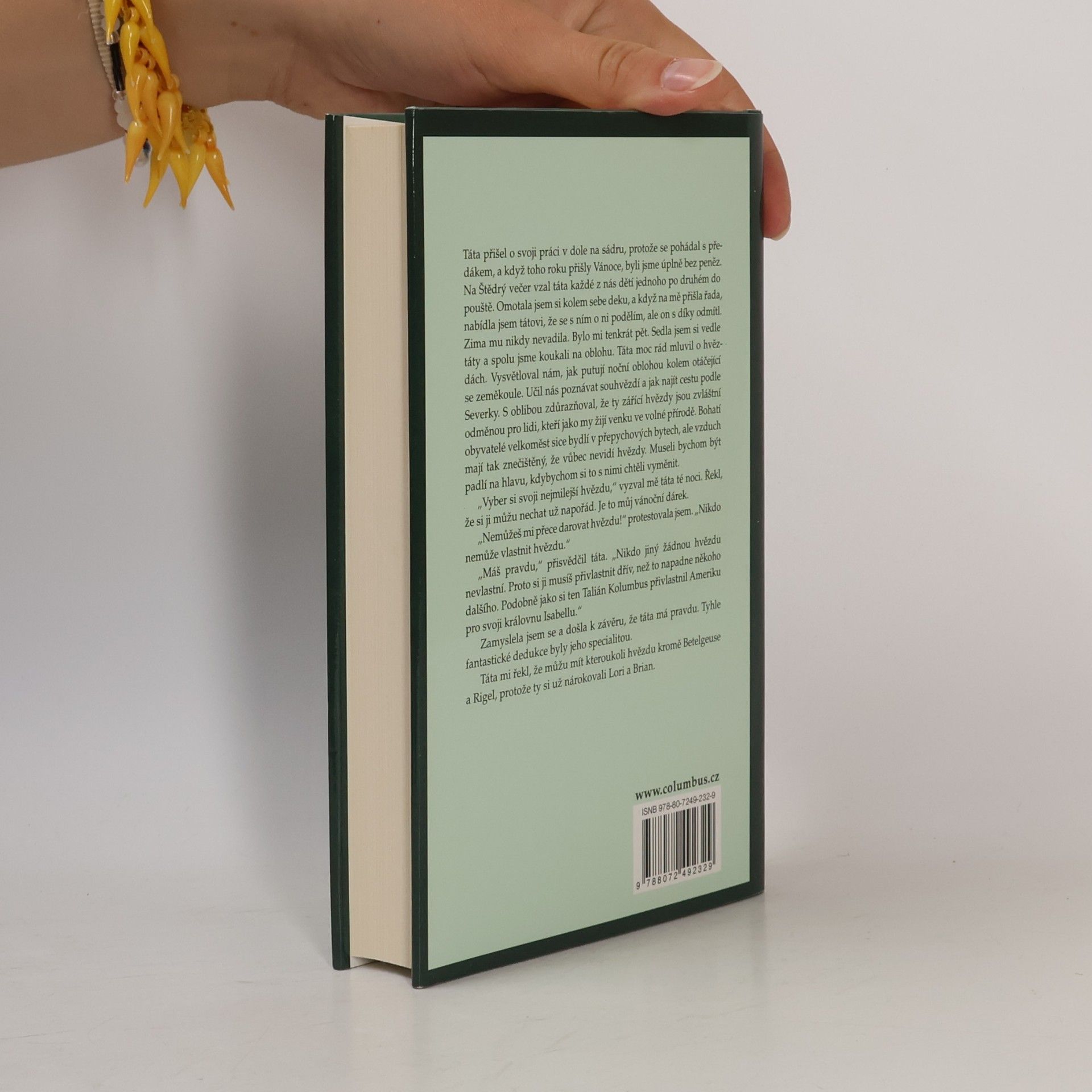 Jeannette Walls Skleněný zámek