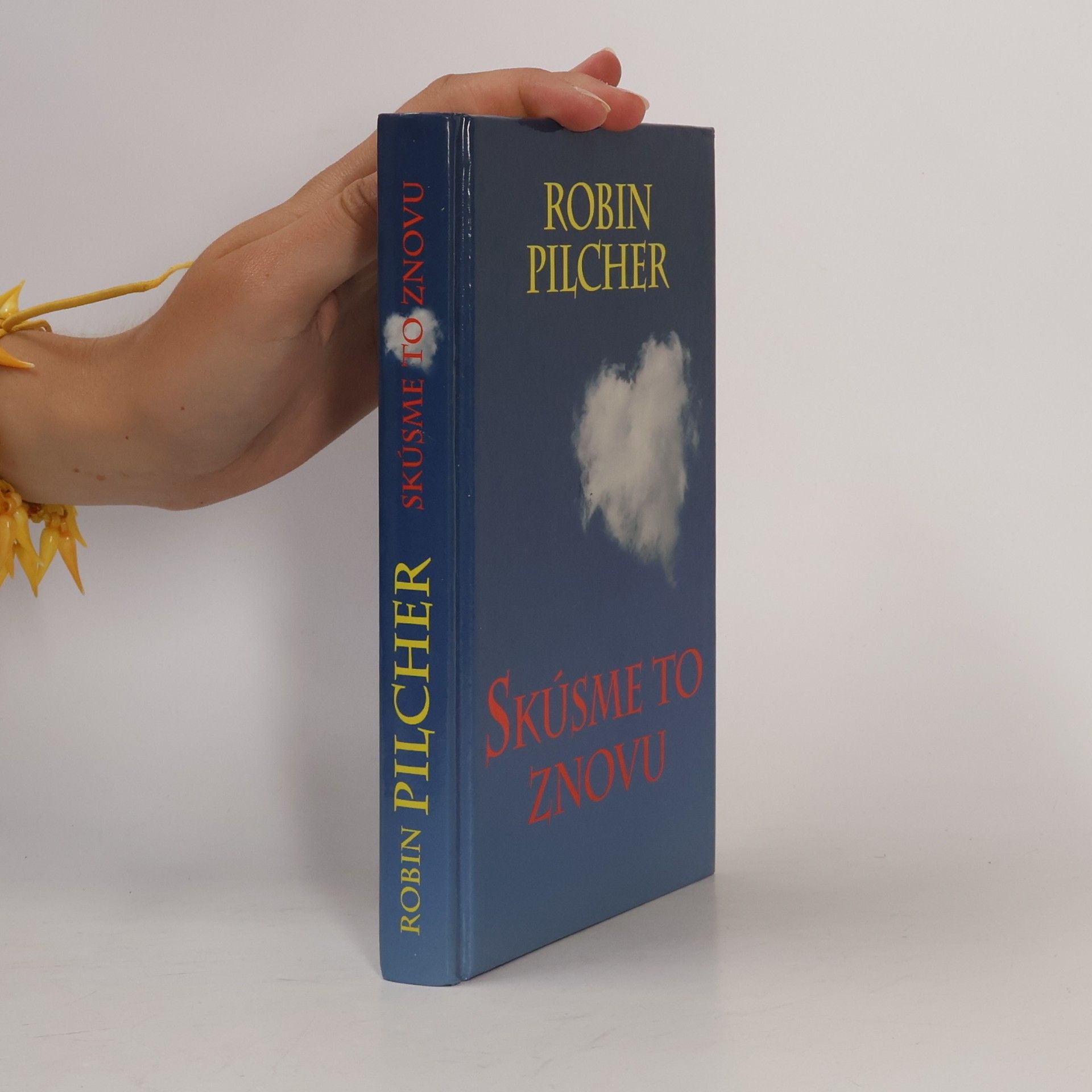 Robin Pilcher Skúsme to znovu