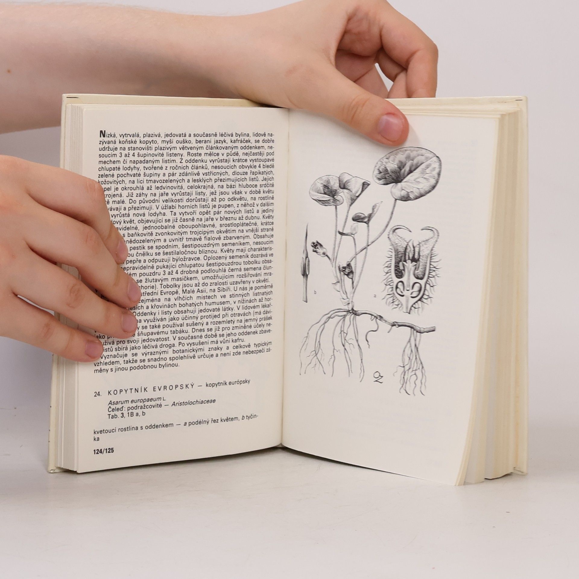 František Hron Rostliny strání, skal, křovin a lesů. Kapesní atlas