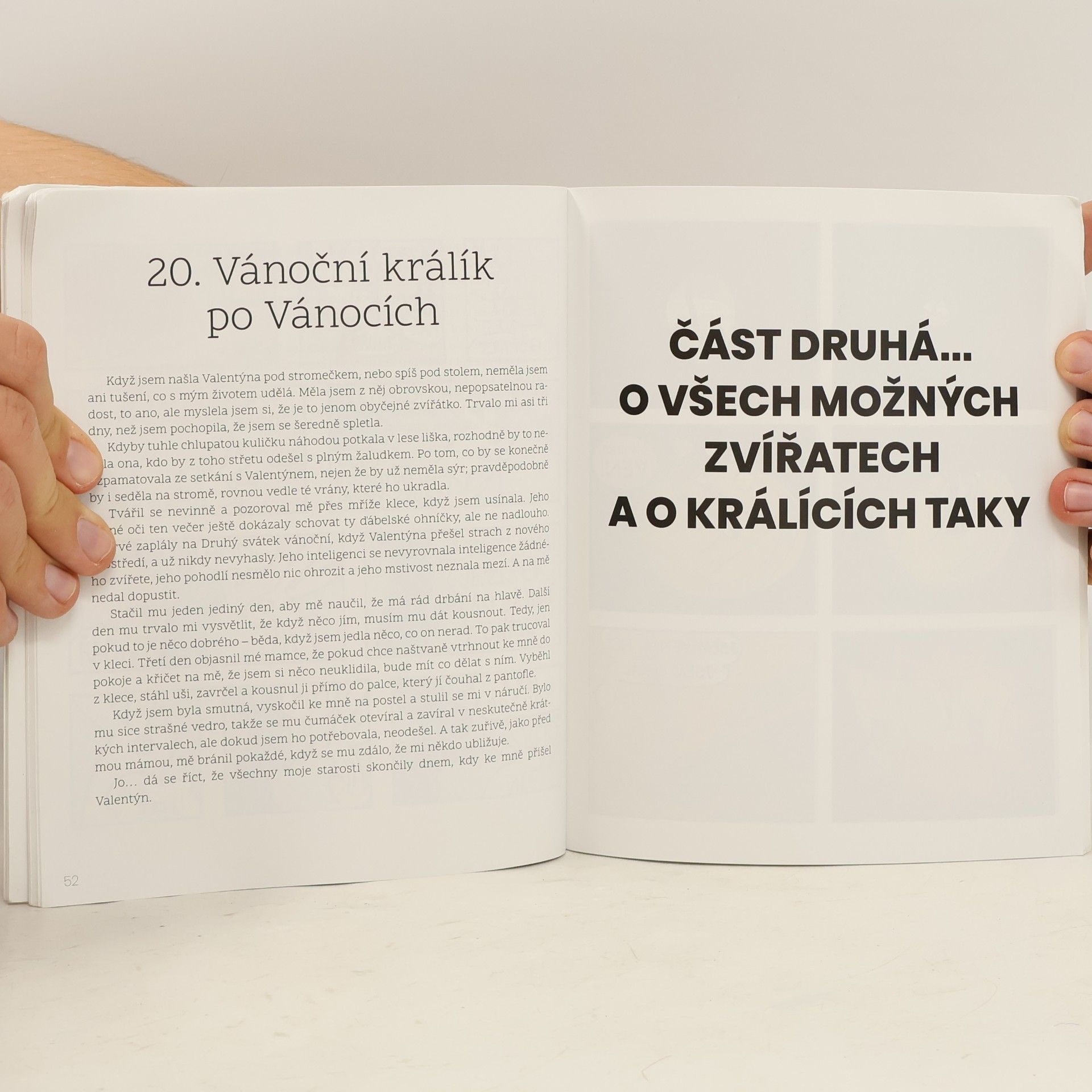 Klára Mayerová Kdy má králík bobky?