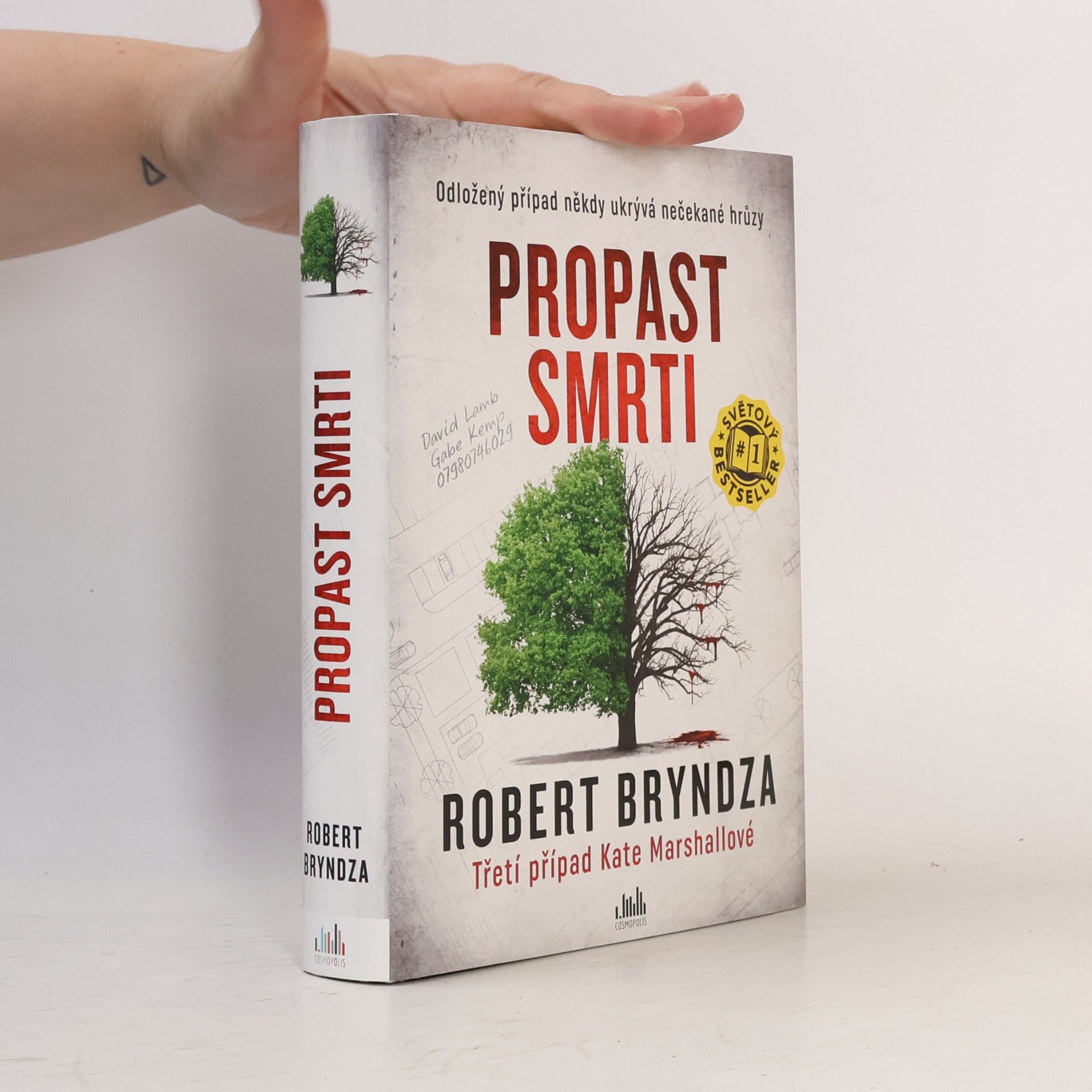 Robert Bryndza Propast smrti