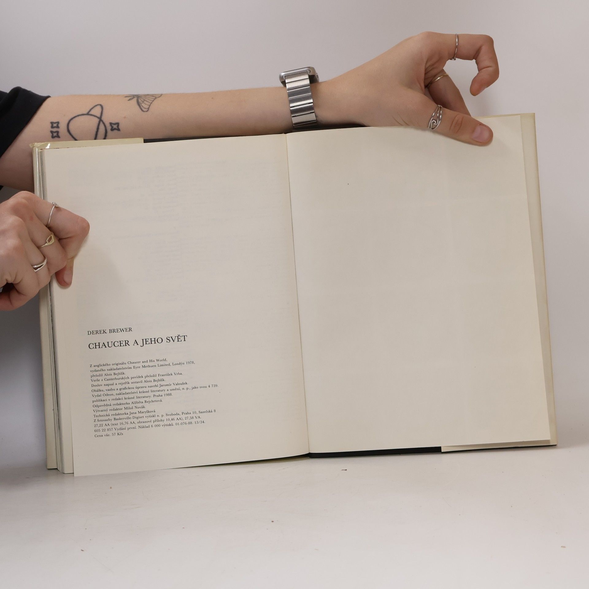 Derek Brewer Chaucer a jeho svět