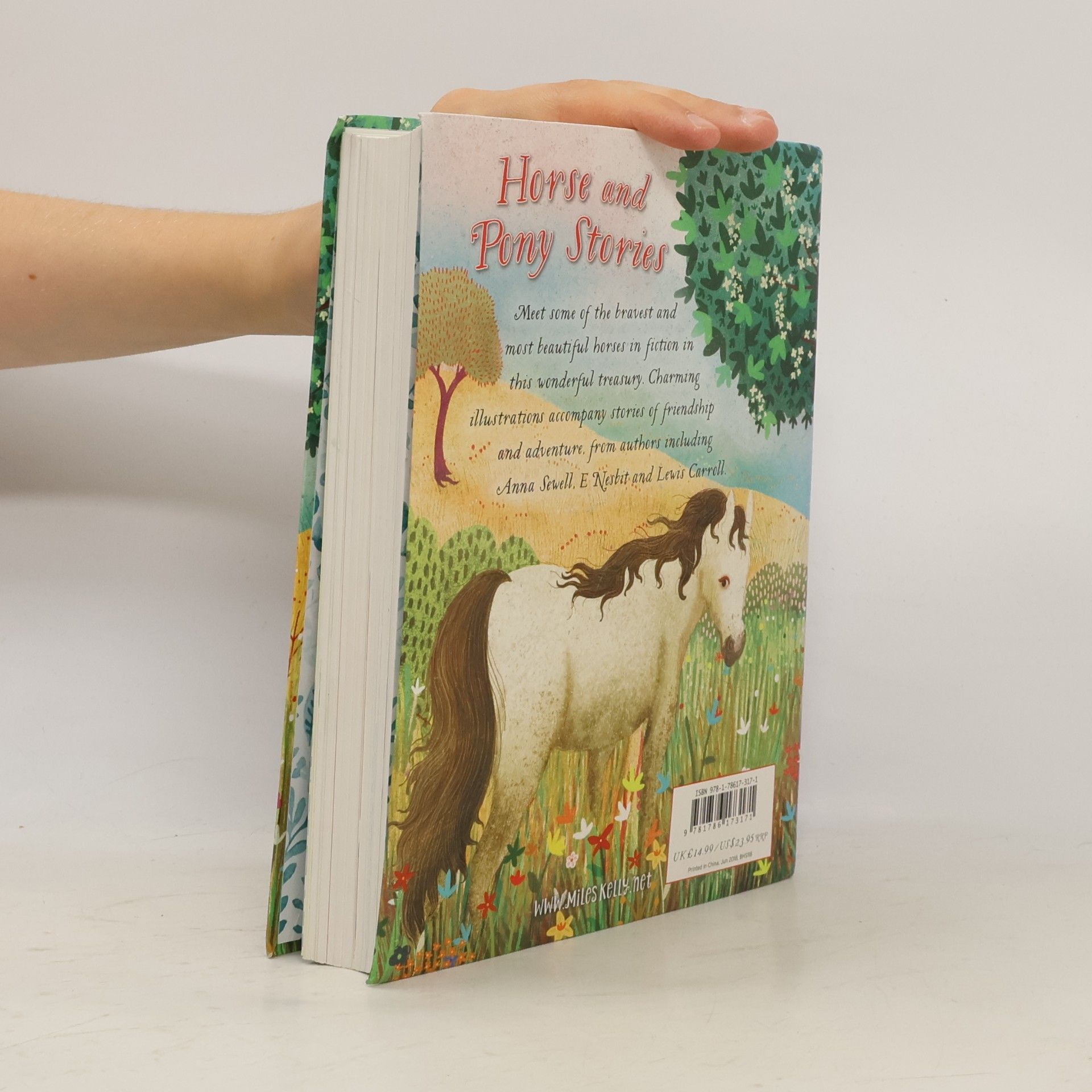 Auteurscollectief Horse and Pony Stories