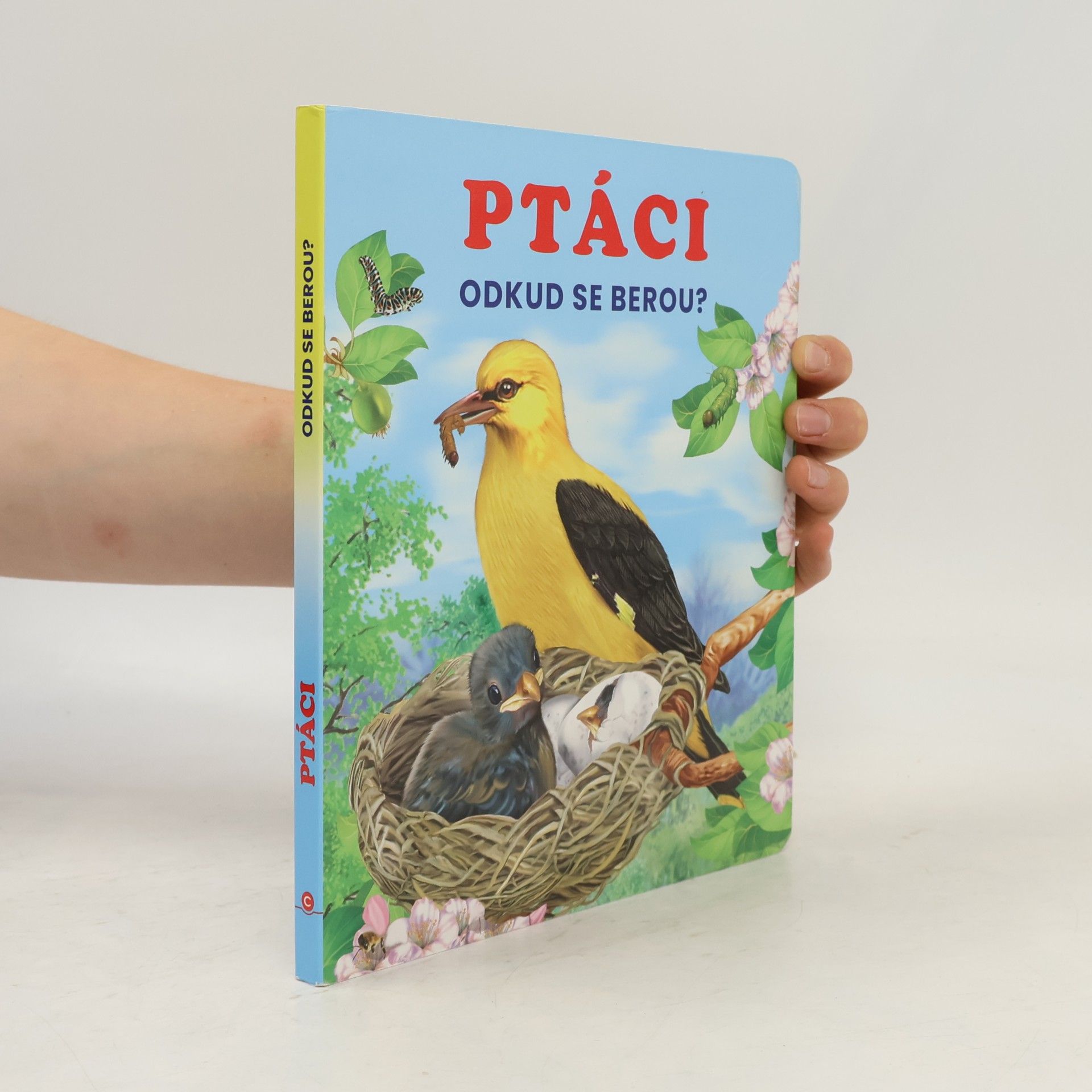 Auteurscollectief Ptáci - Odkud se berou?