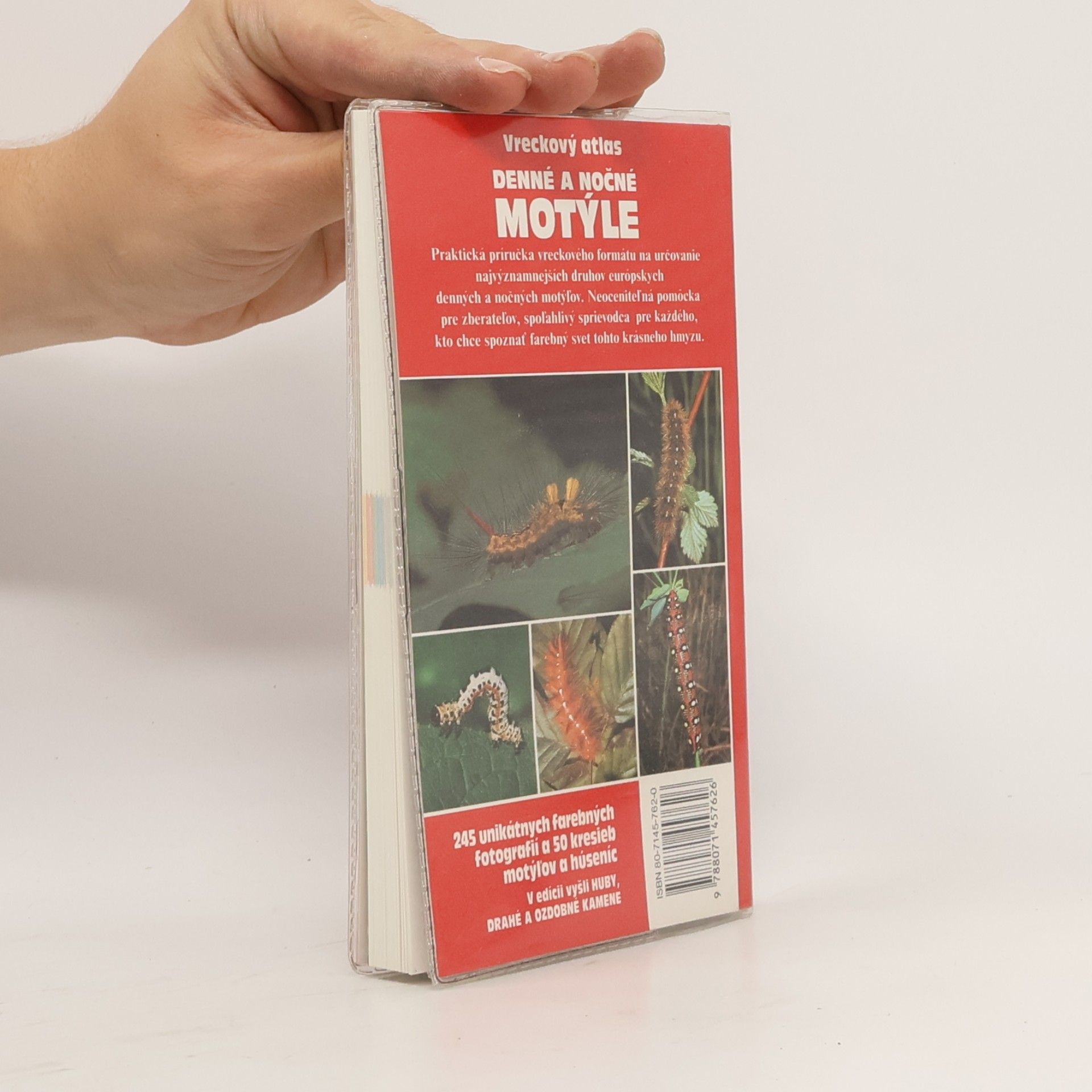 Helga Hofmann-Sieber Denné a nočné motýle. Vreckový atlas