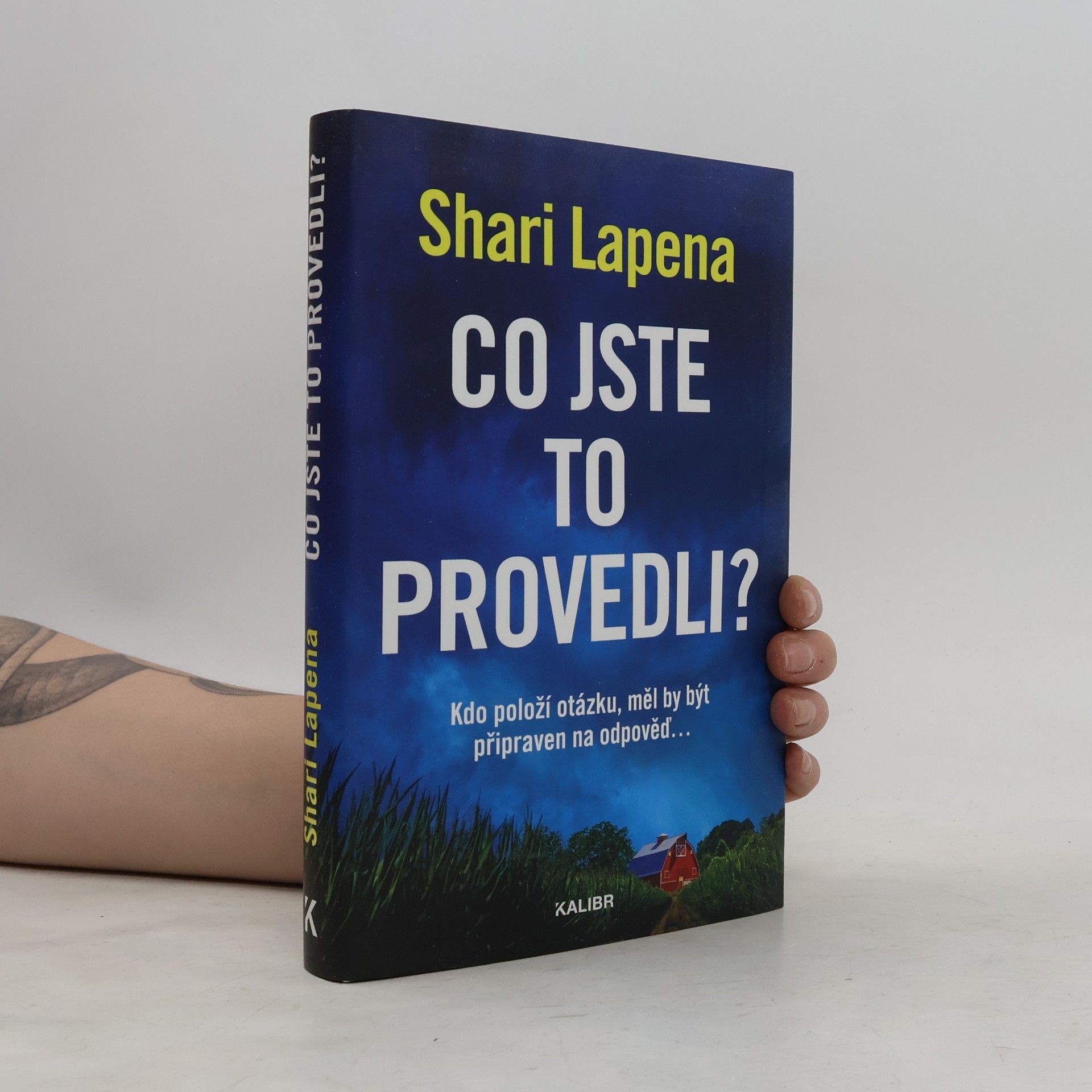 Shari Lapena Co jste to provedli?