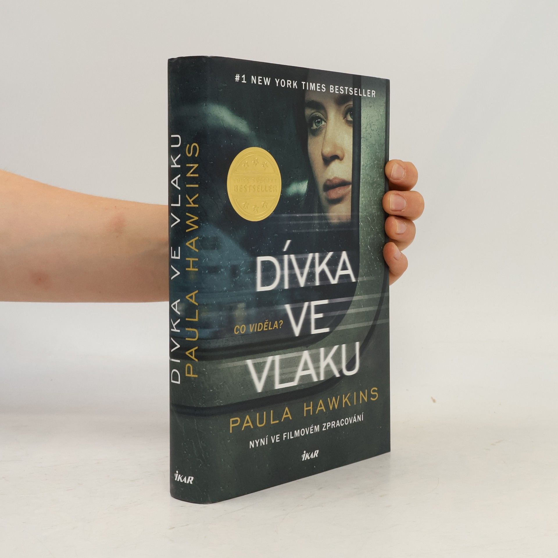 Dívka ve vlaku