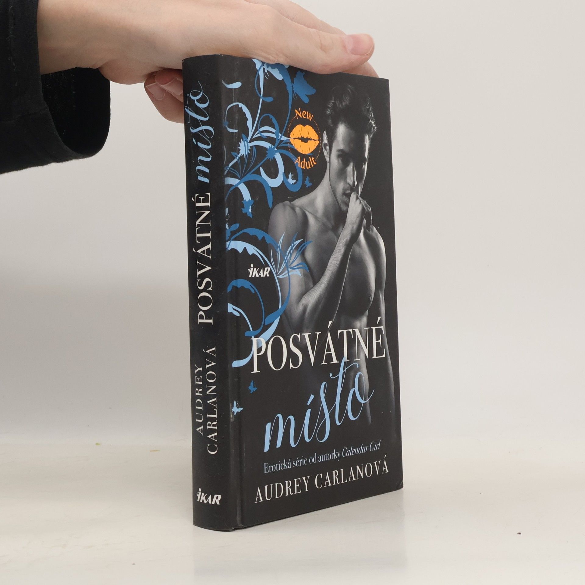 Audrey Carlan Posvátné místo