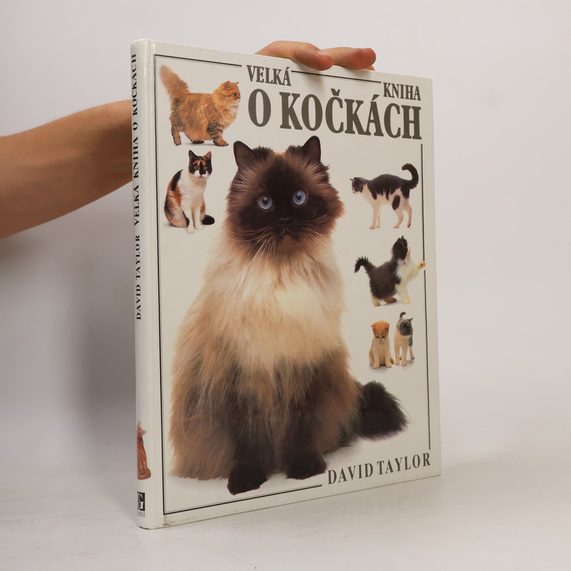 David Conrad Taylor Velká kniha o kočkách