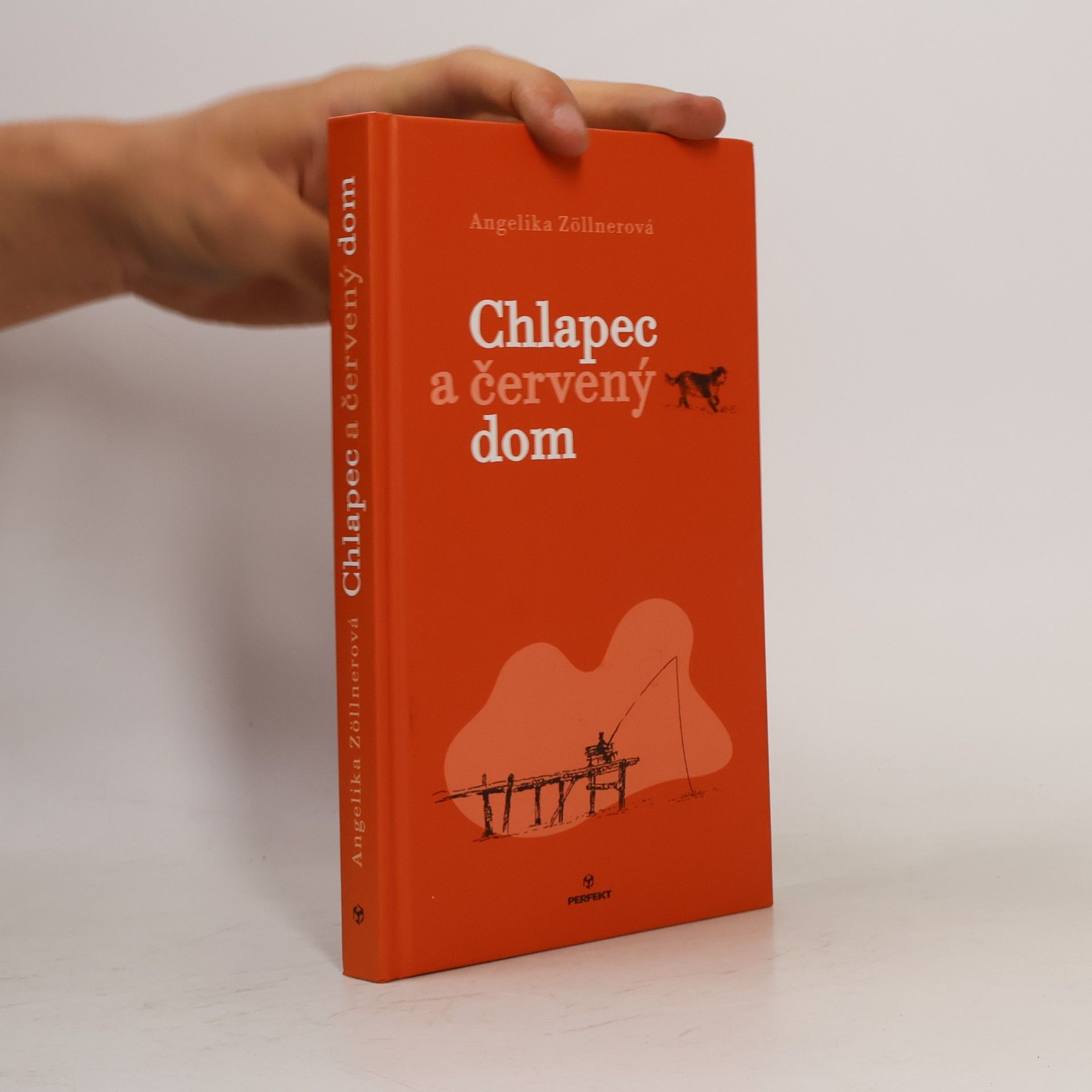 Angelika Zöllner Chlapec a červený dom