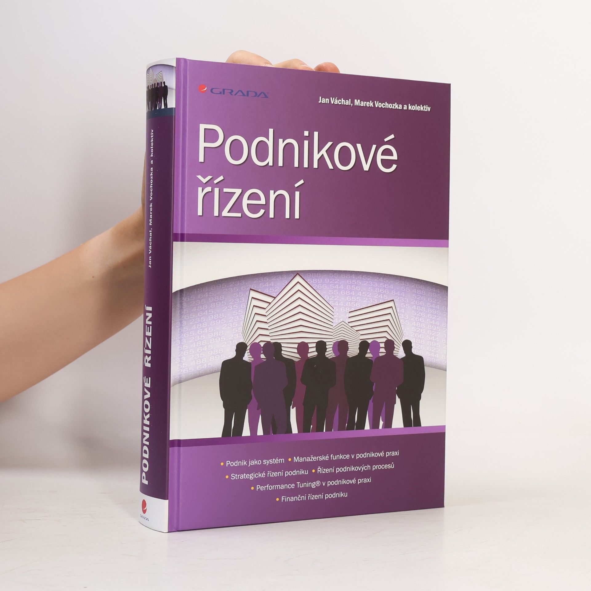 Marek Vochozka Podnikové řízení