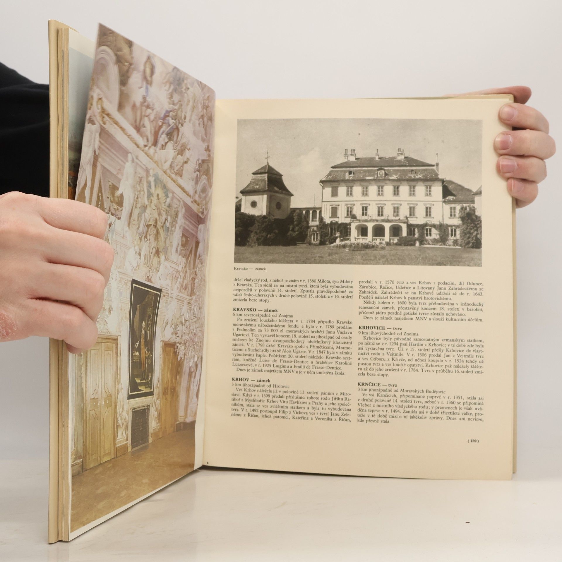Kolektiv autorů Hrady, zámky a tvrze v Čechách, na Moravě a ve Slezsku I. Jižní Morava