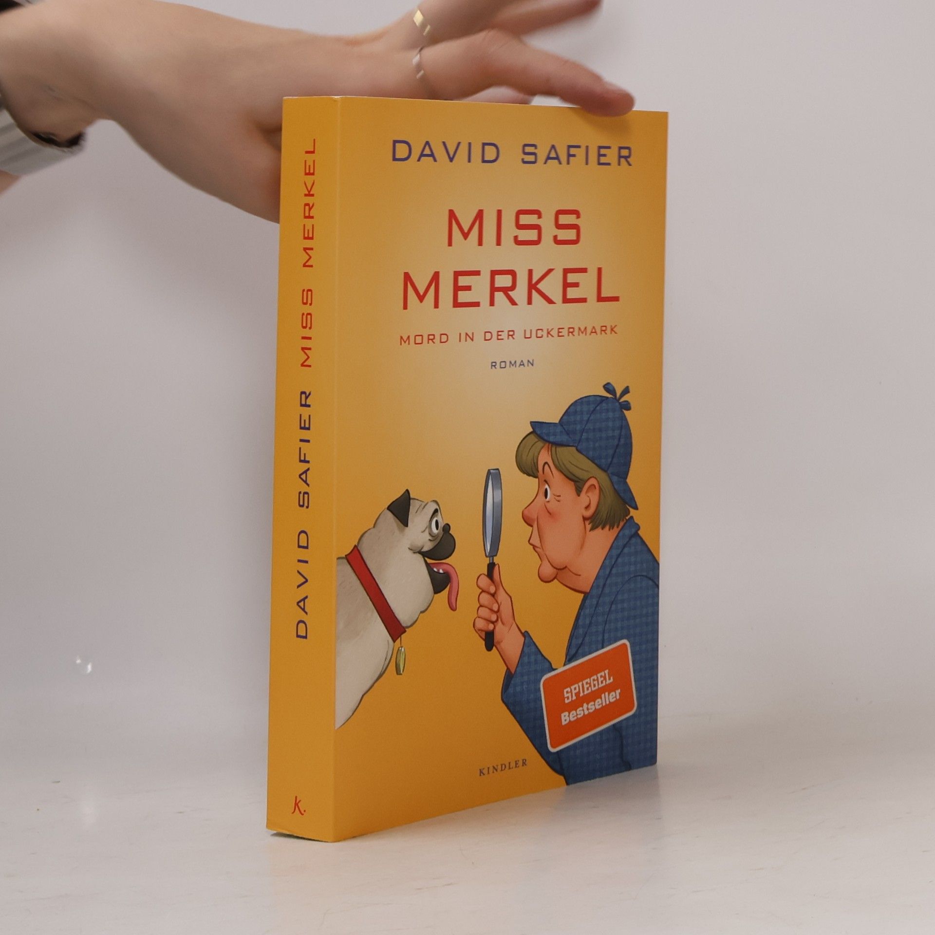 David Safier Miss Merkel
