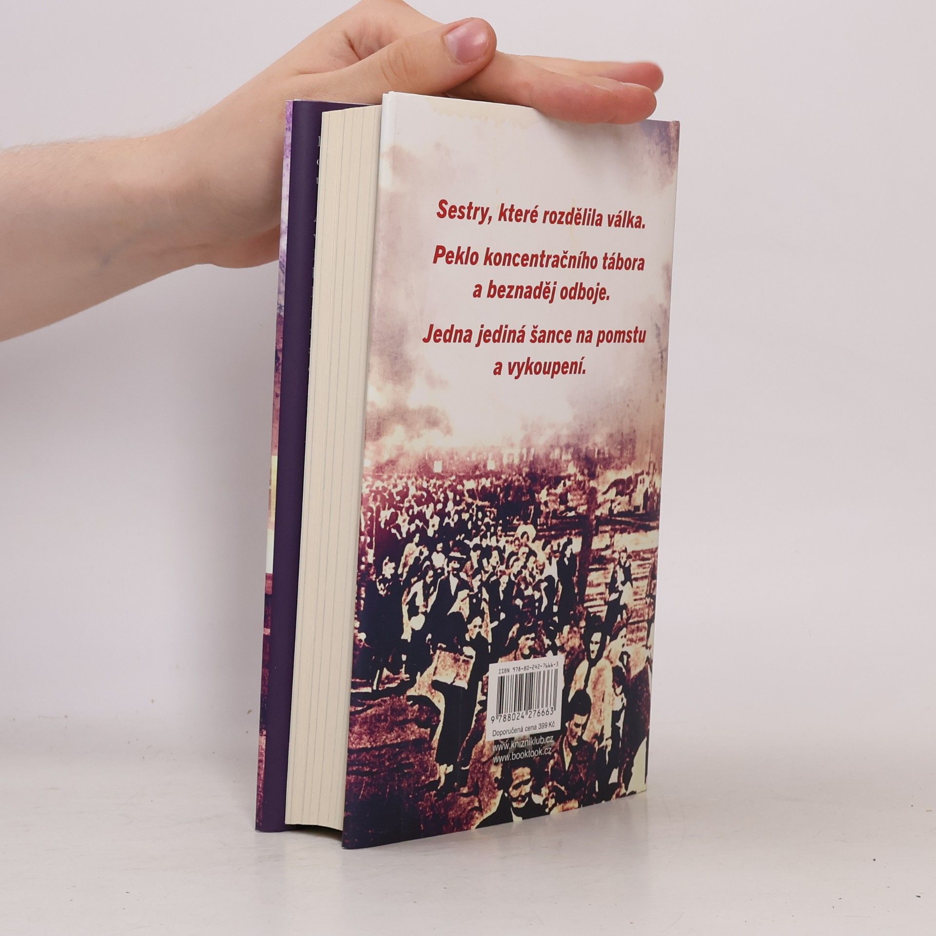 Steve Matthews Hitlerův nevěstinec : je důležitější pomsta, nebo spravedlnost?