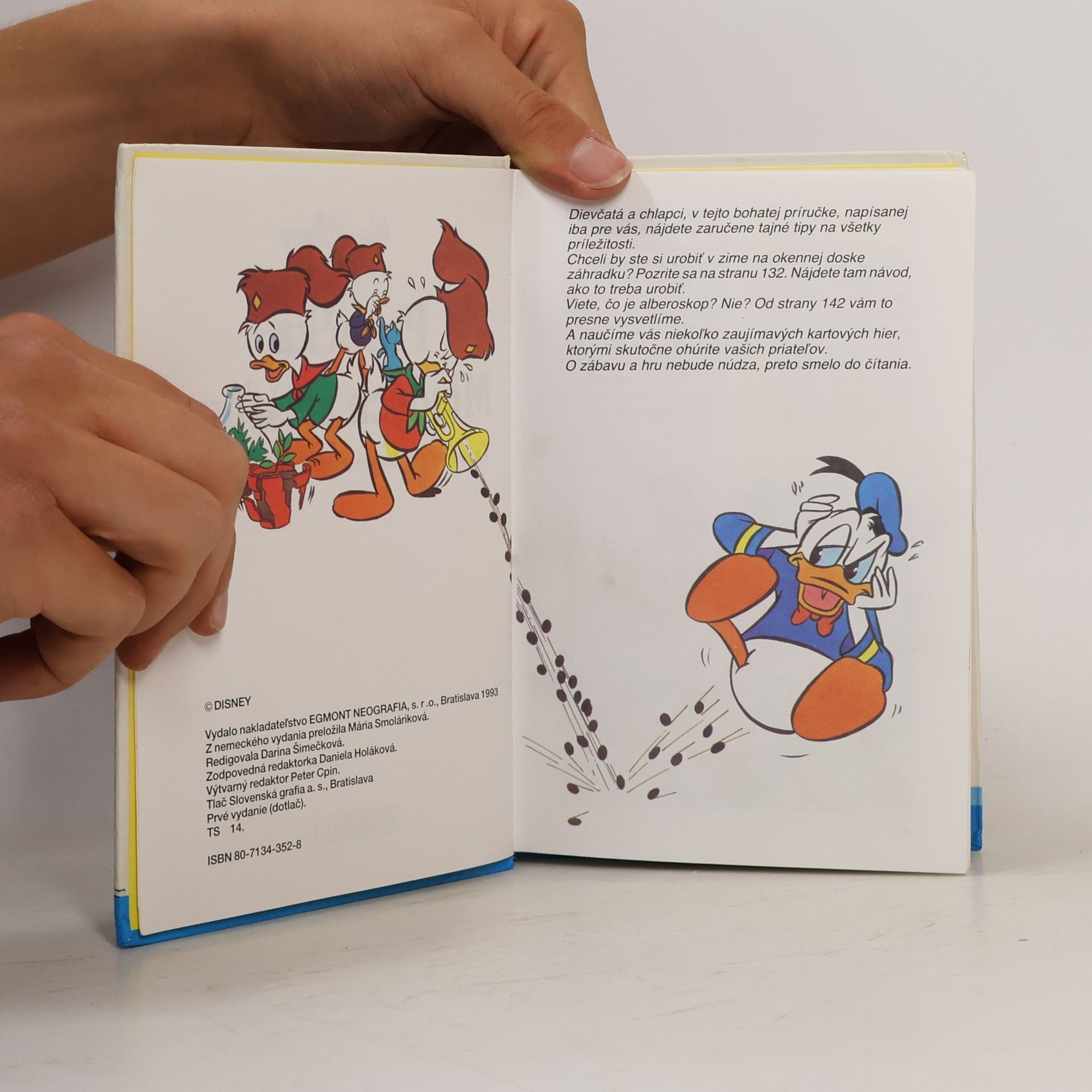 Walt Disney Príručka mladých svišťov. Tajná príručka na všetky príležitosti