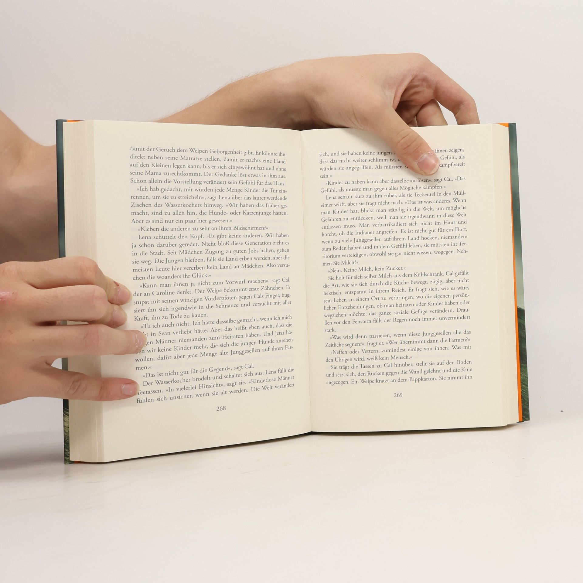 Tana French Der Sucher