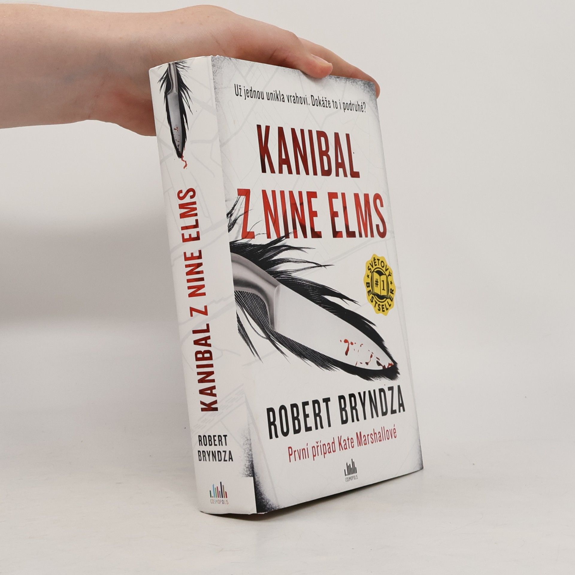 Robert Bryndza Kanibal z Nine Elms