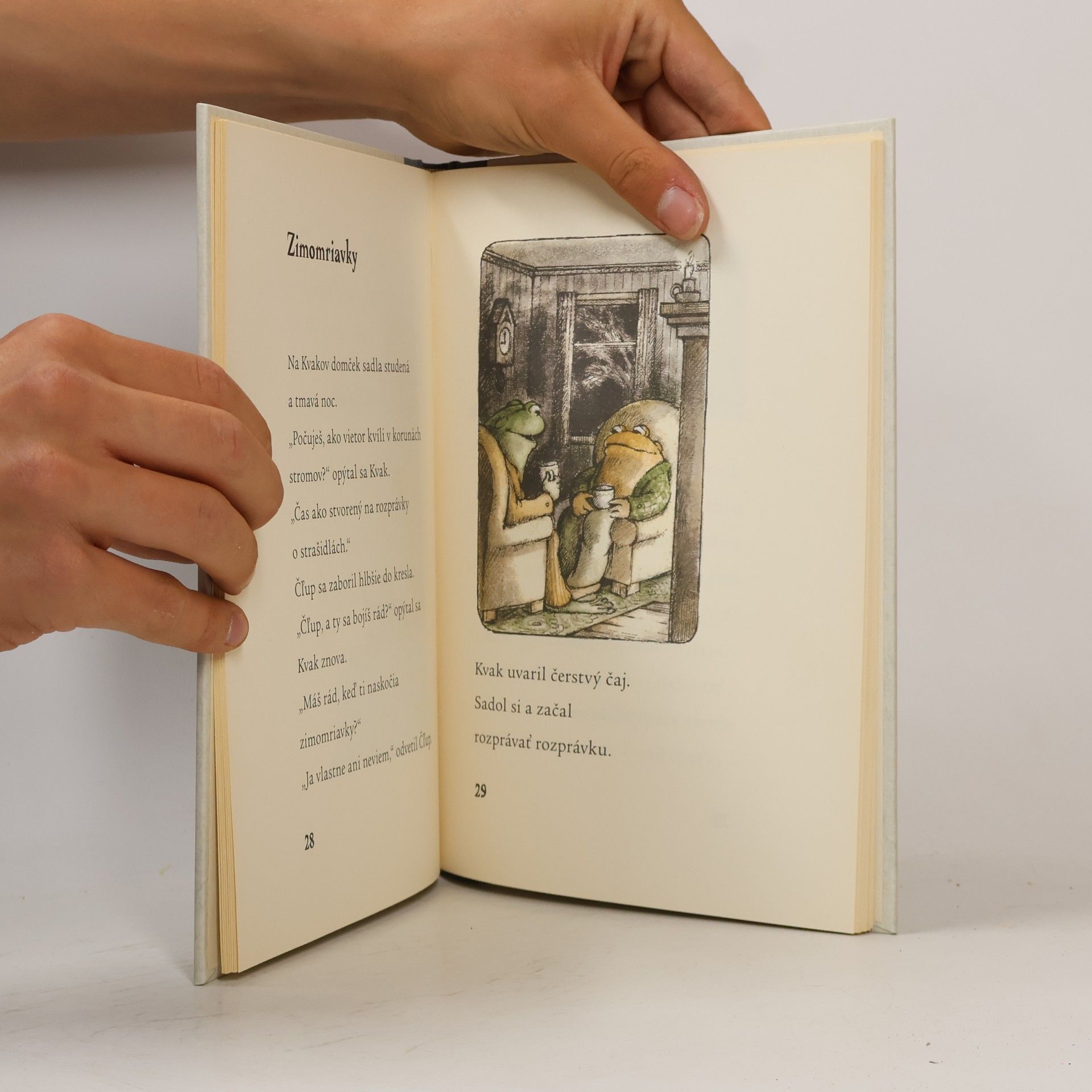 Arnold Lobel Kvak a Čľup nepoznajú nudu