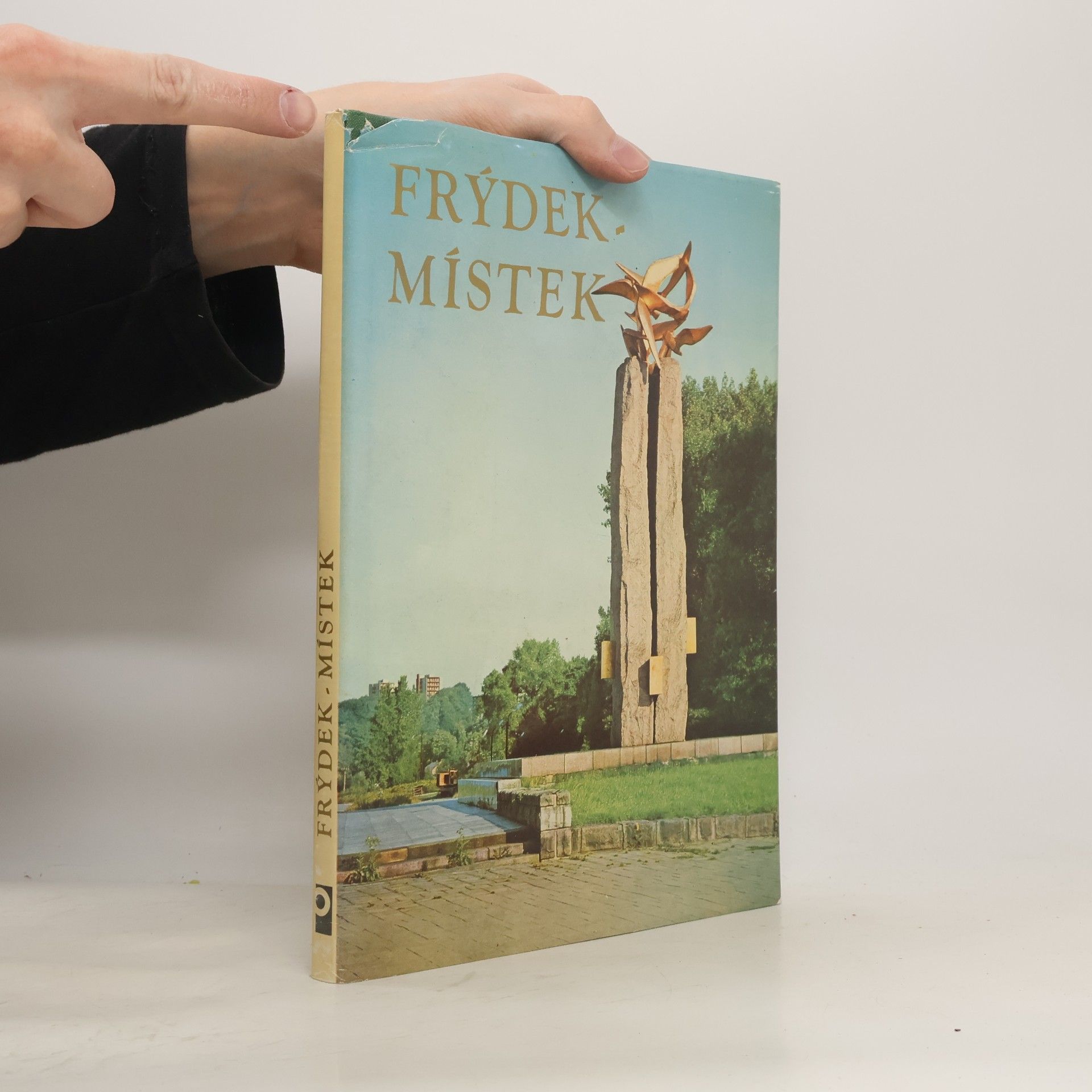 Vladislav Kožuch Frýdek-Místek