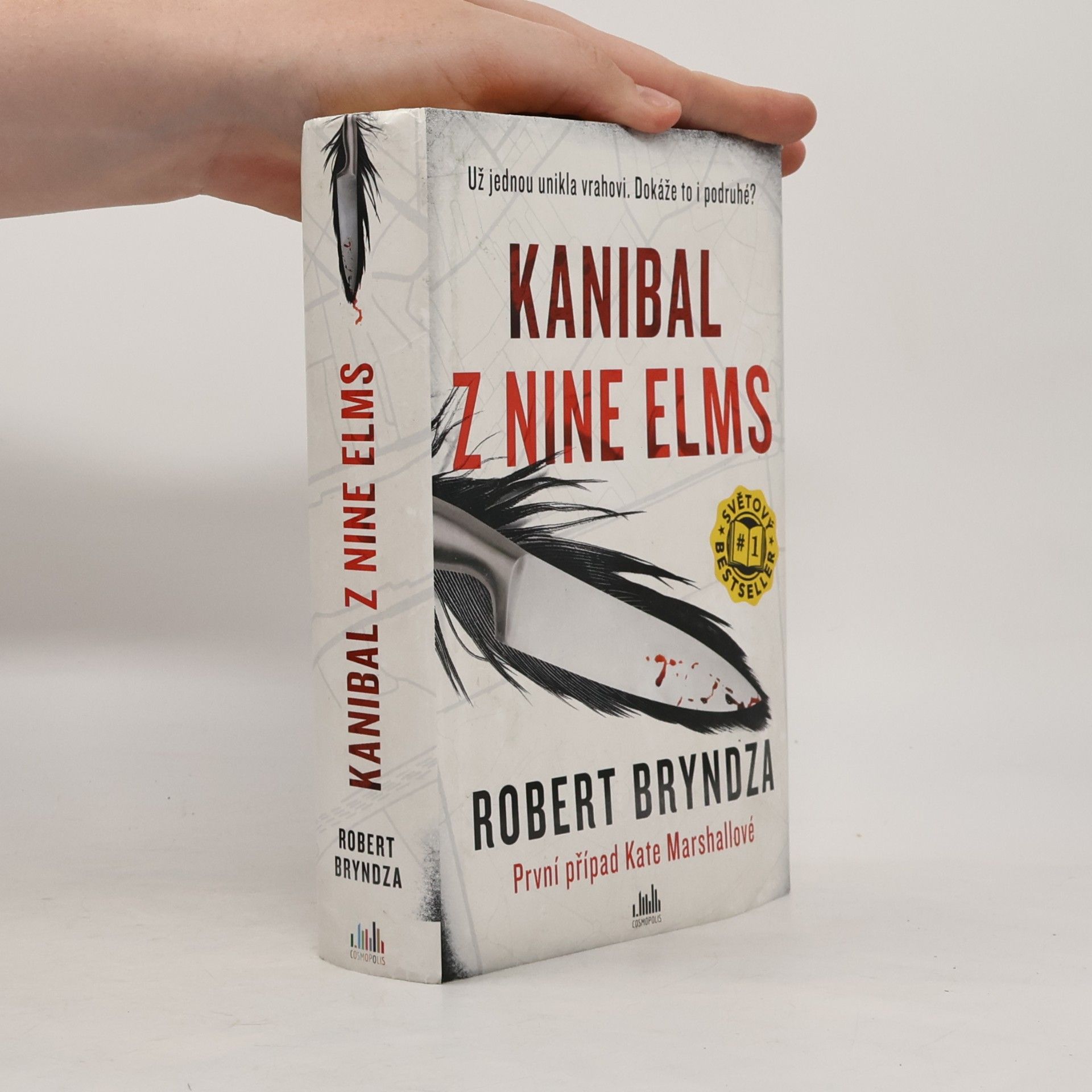 Robert Bryndza Kanibal z Nine Elms