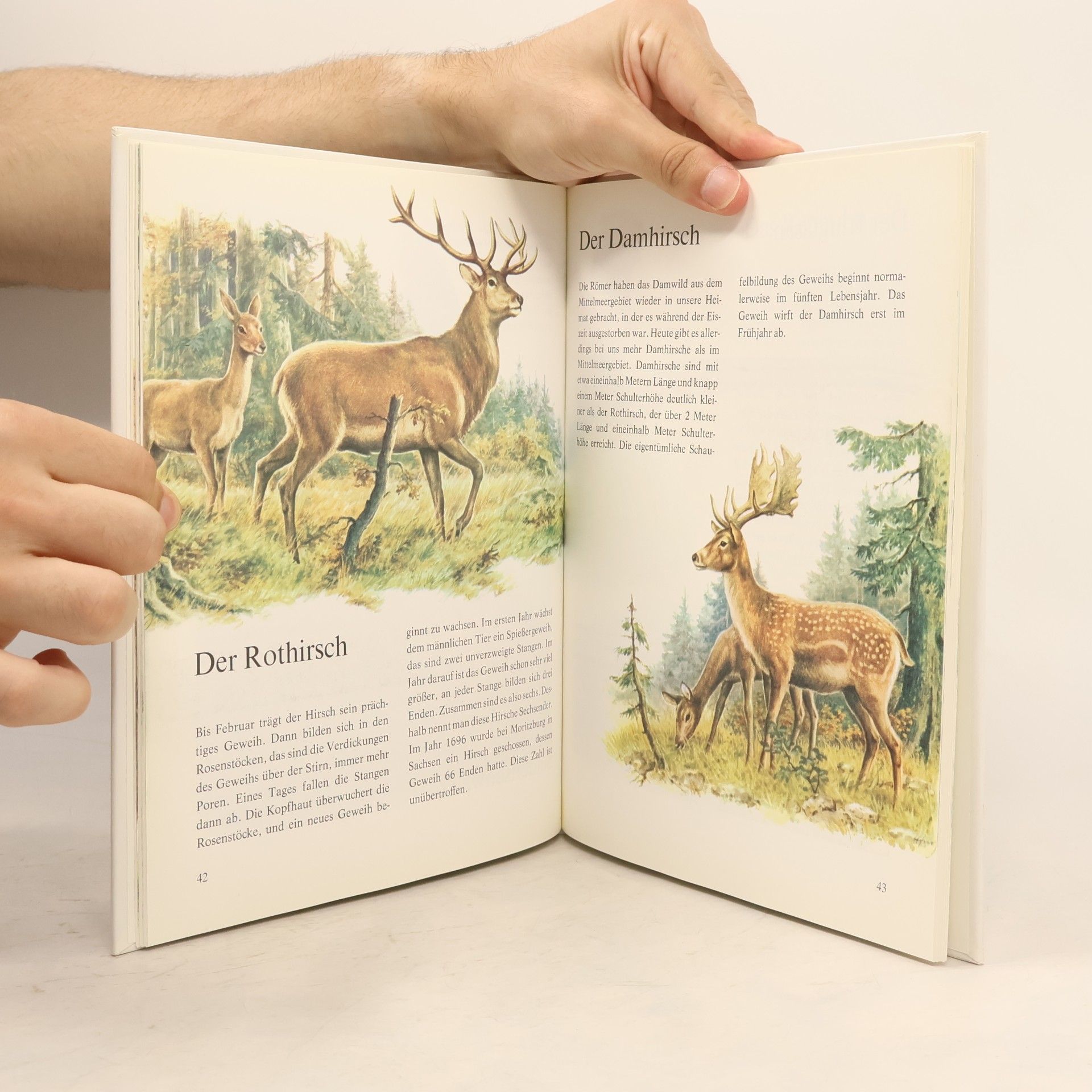 Ernst Waldemar Bauer Mein bunter Tieratlas