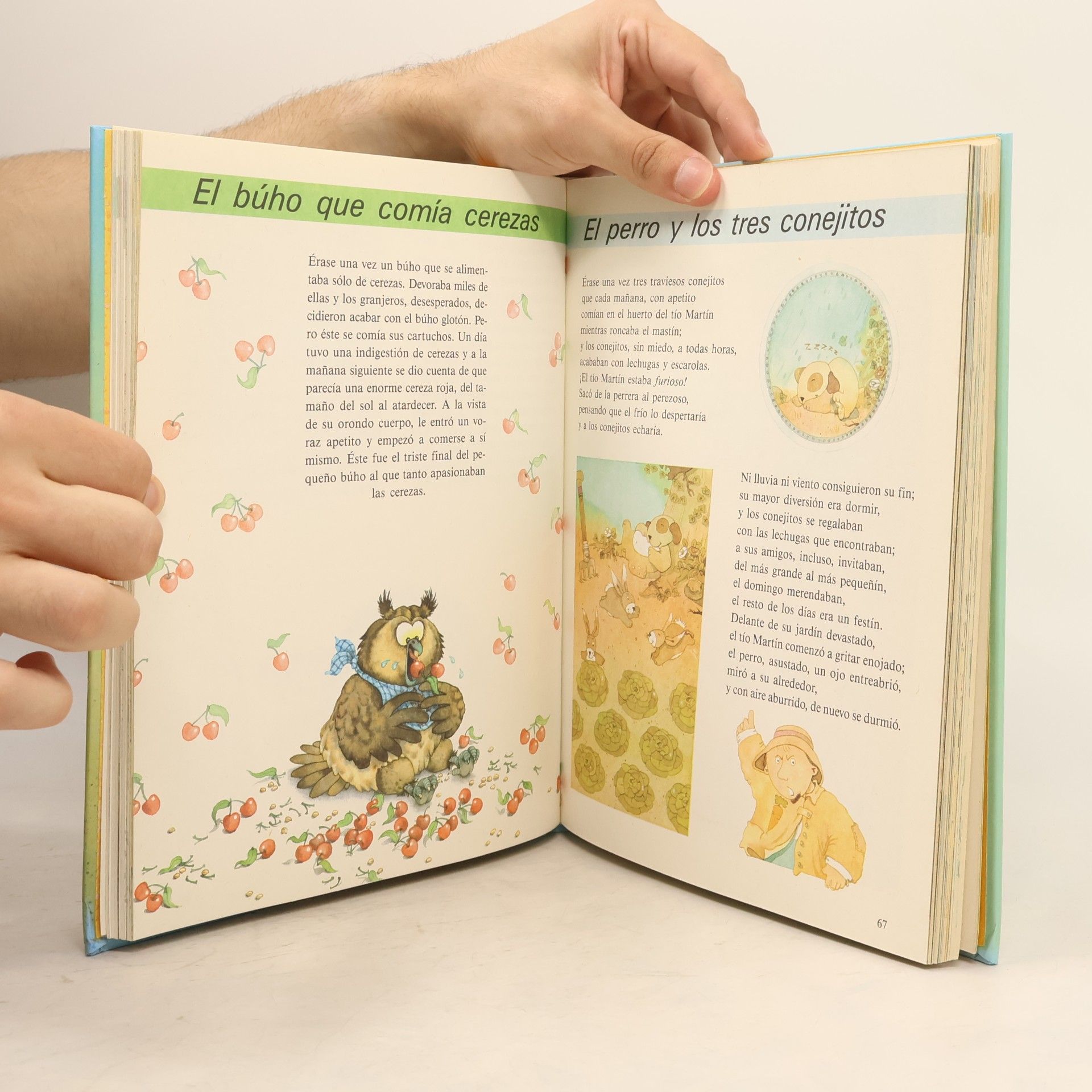 Kolektiv autorů Historias de Animales