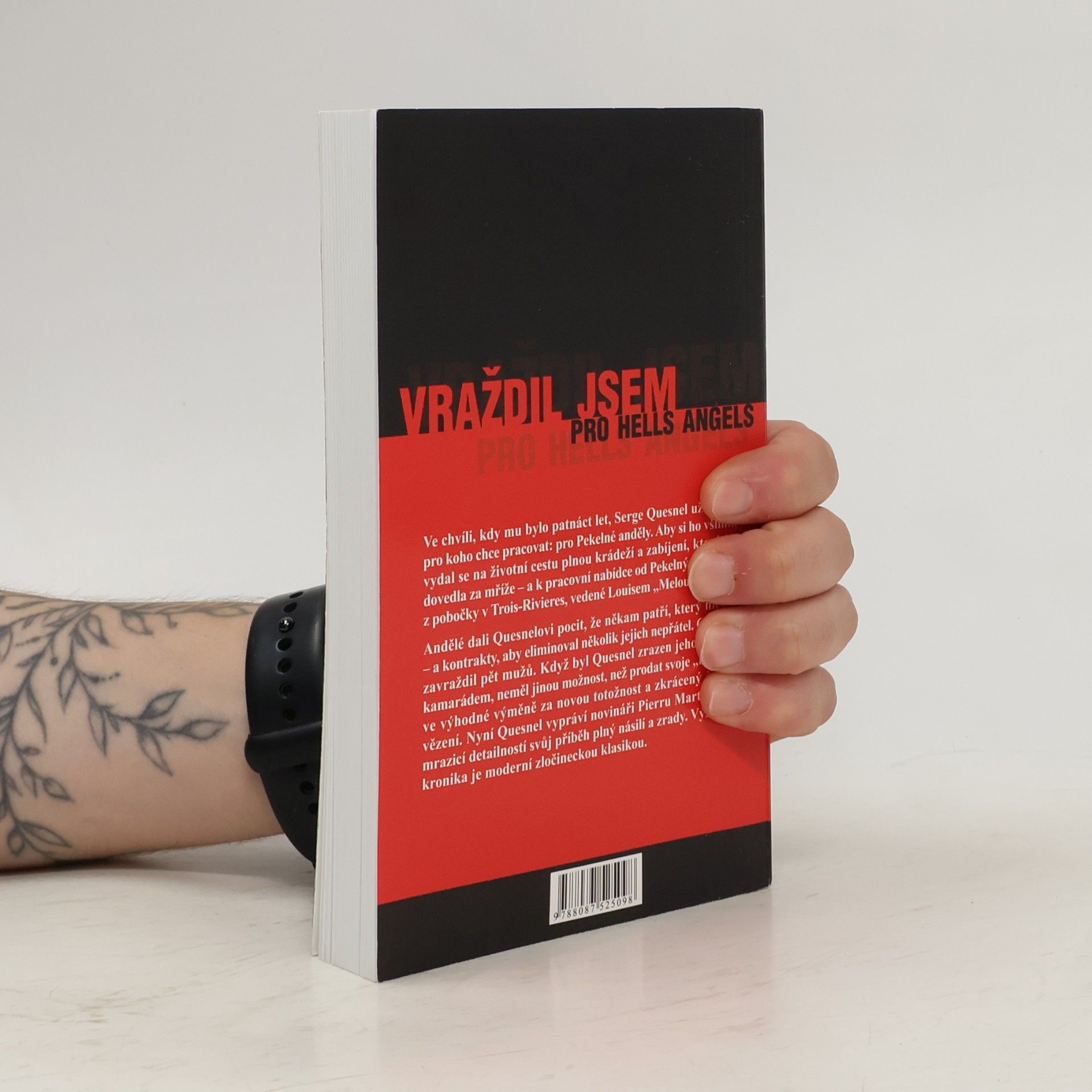 Pierre Martineau Vraždil jsem pro Hells Angels