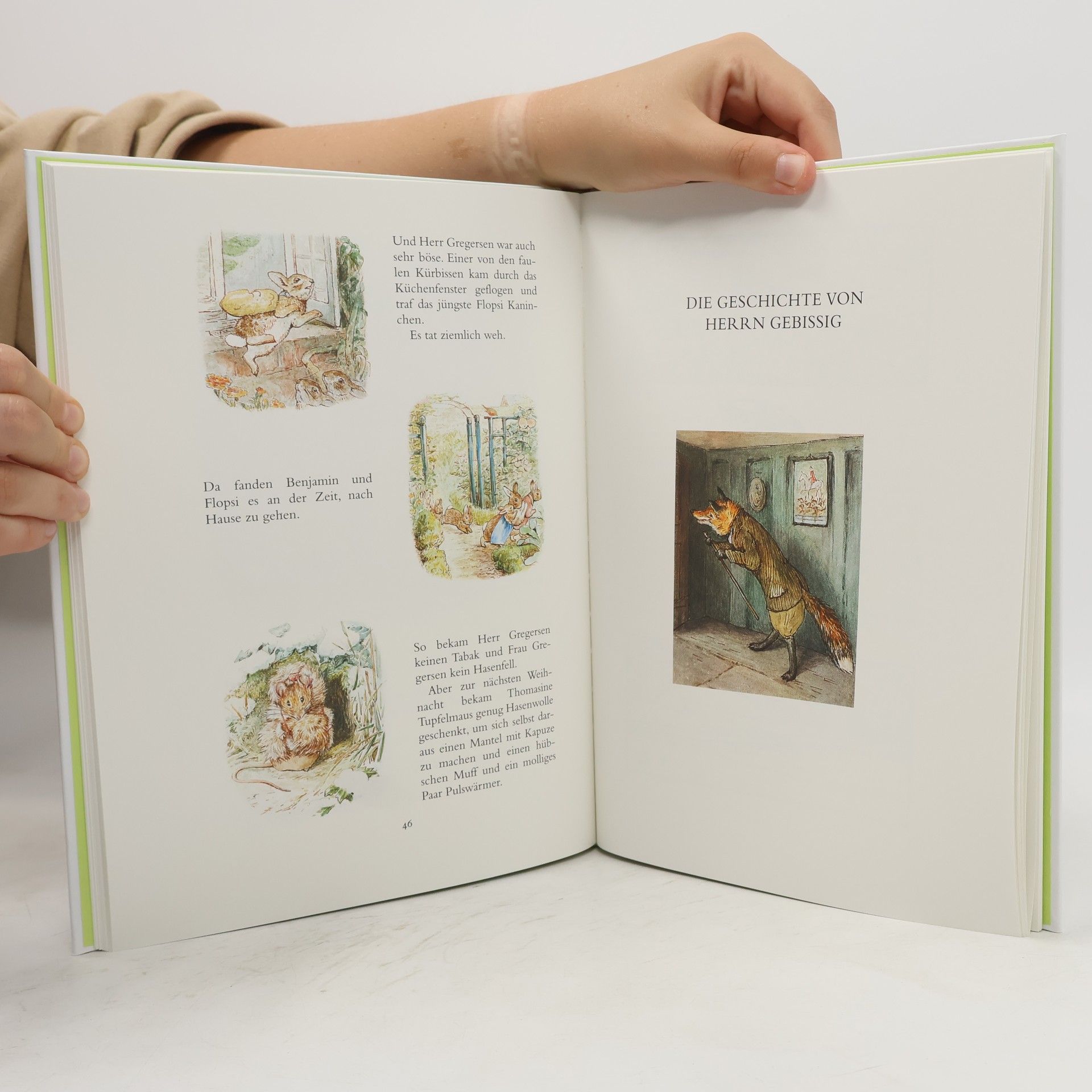 Beatrix Potter Die gesammelten Abenteuer von Peter Hase