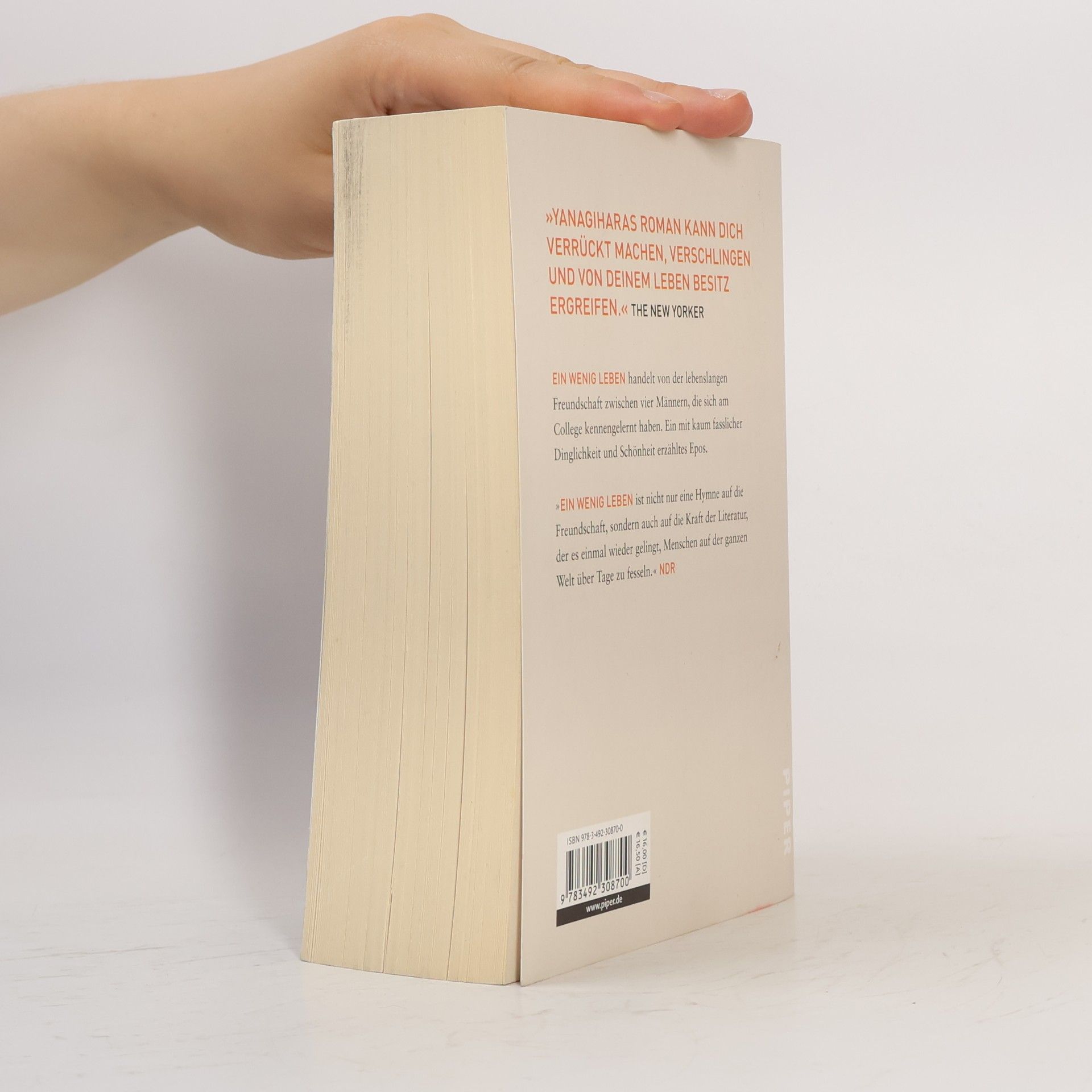 Hanya Yanagihara Ein wenig Leben