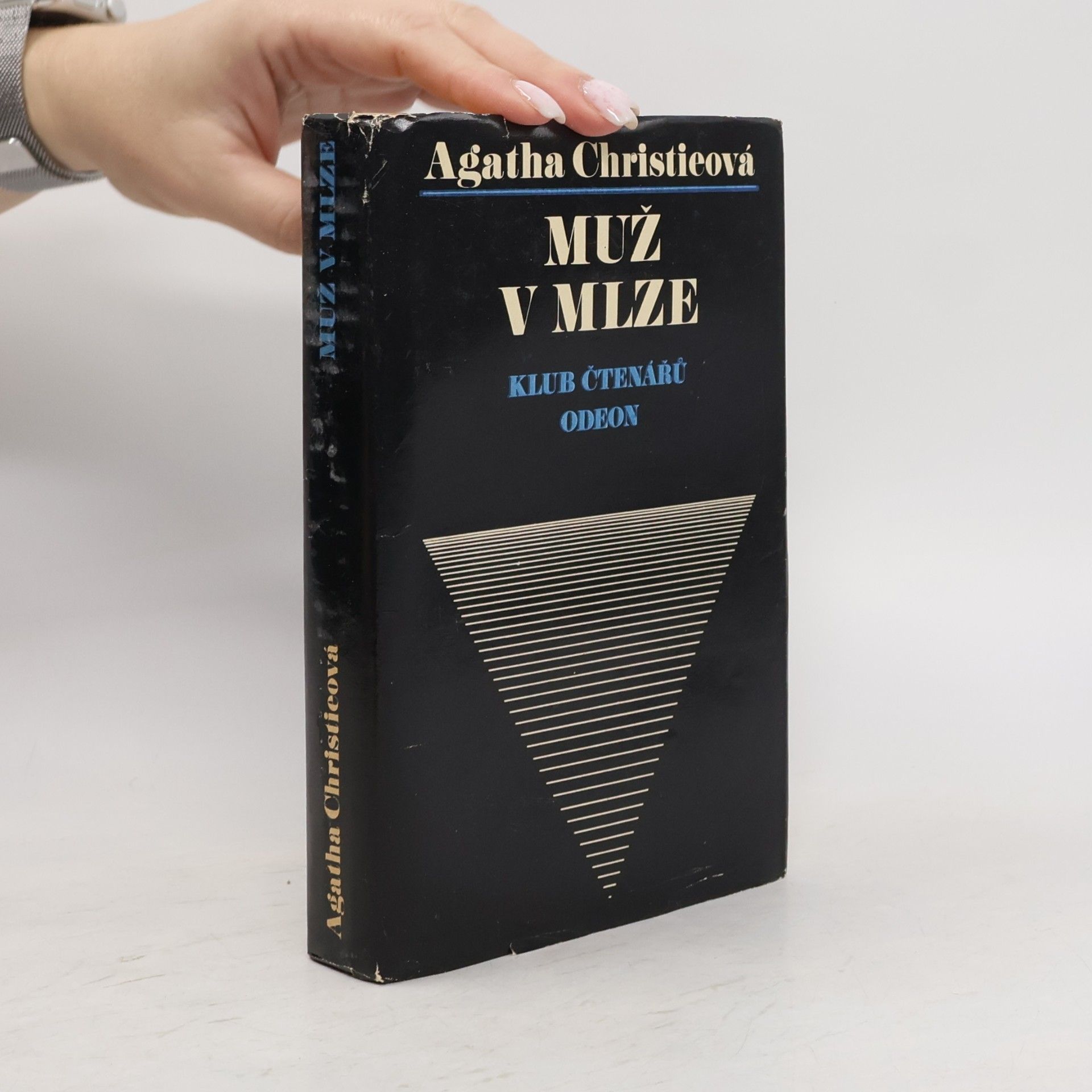 Muž v mlze