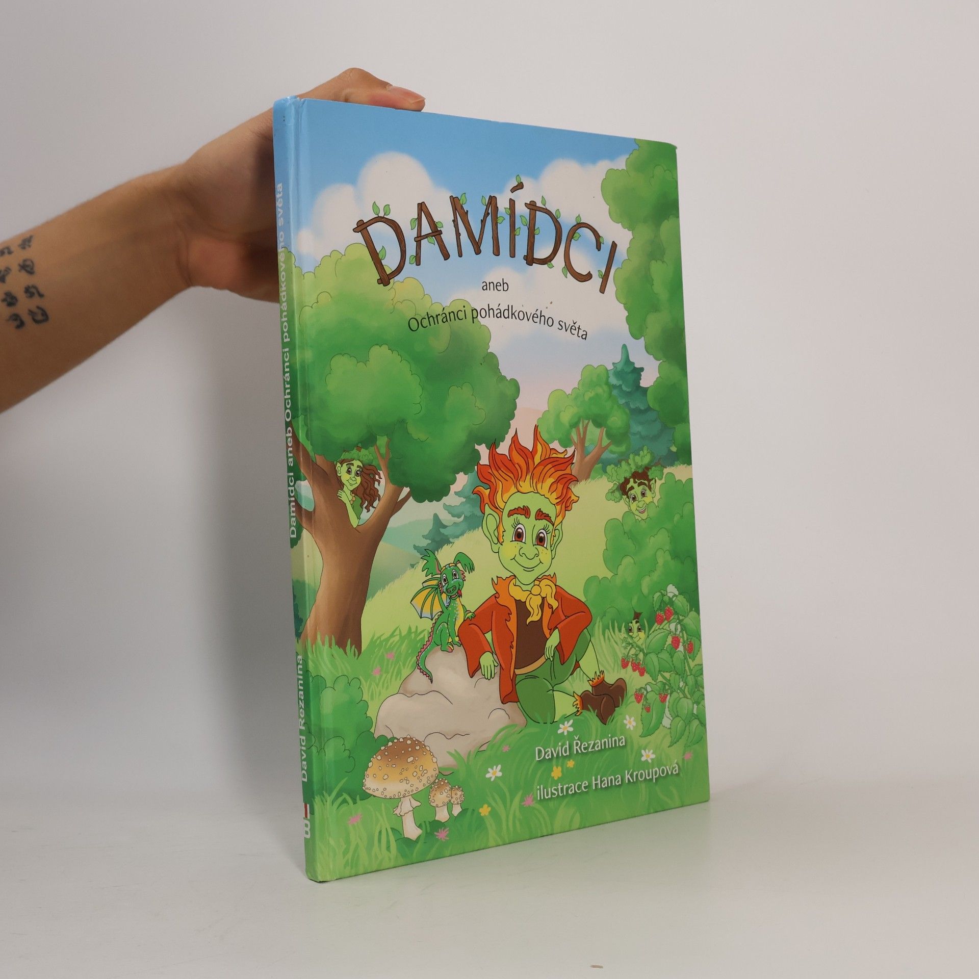 David Řezanina Damídci aneb Ochránci pohádkového světa