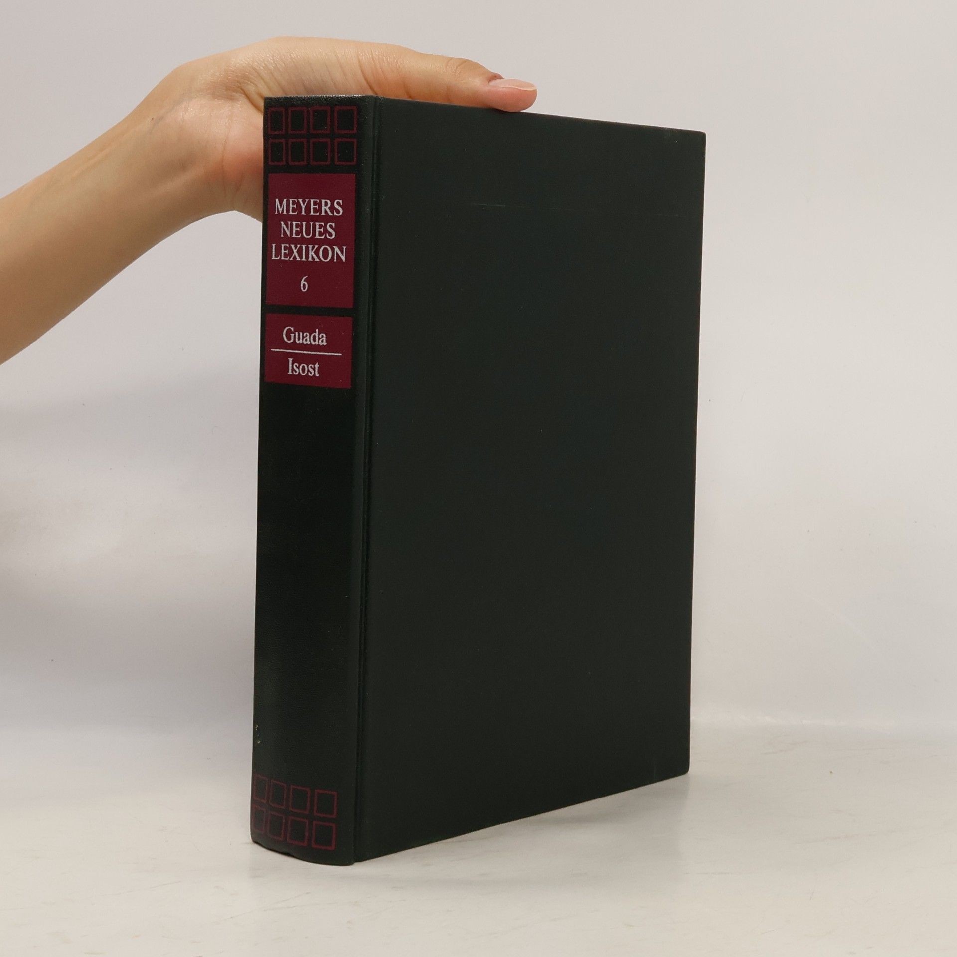 Various authors Meyers neues Lexikon 6