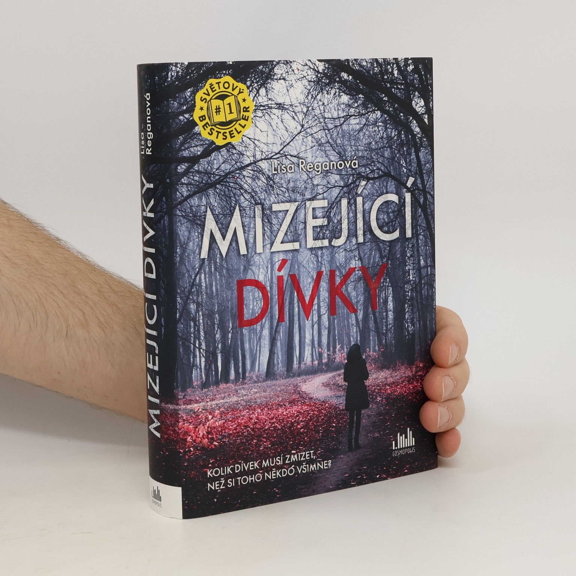 Lisa Regan Mizející dívky