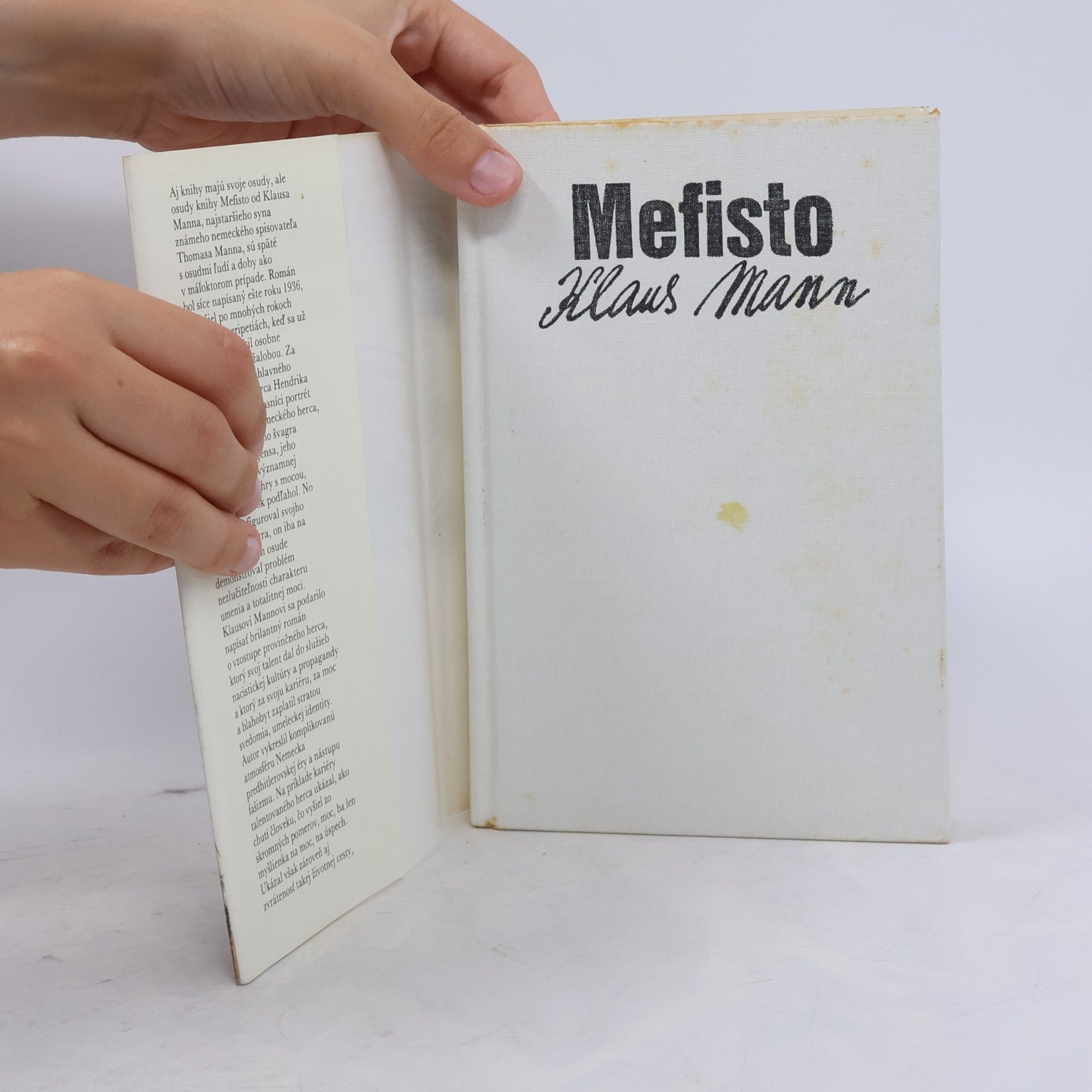 Klaus Mann Mefisto
