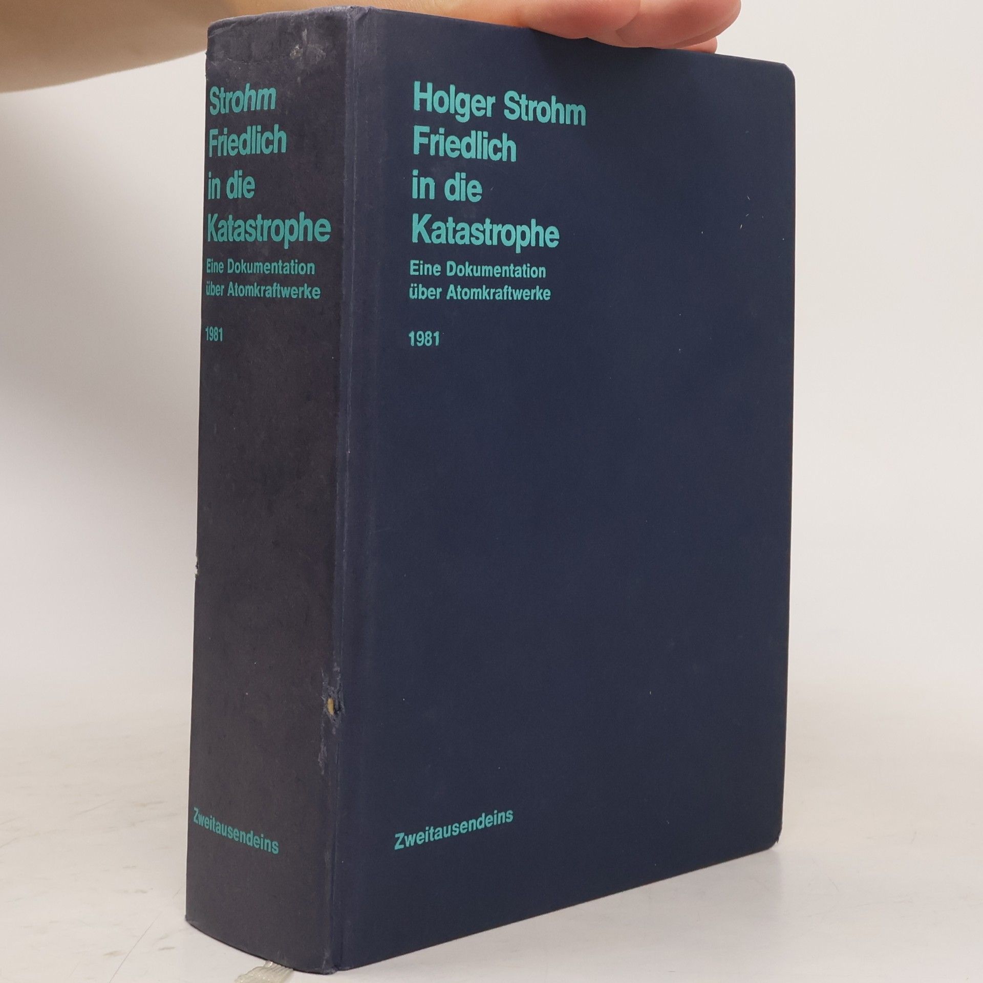 Holger Friedrich Friedlich in die Katastrophe. Eine Dokumentation über Atomkraftwerke