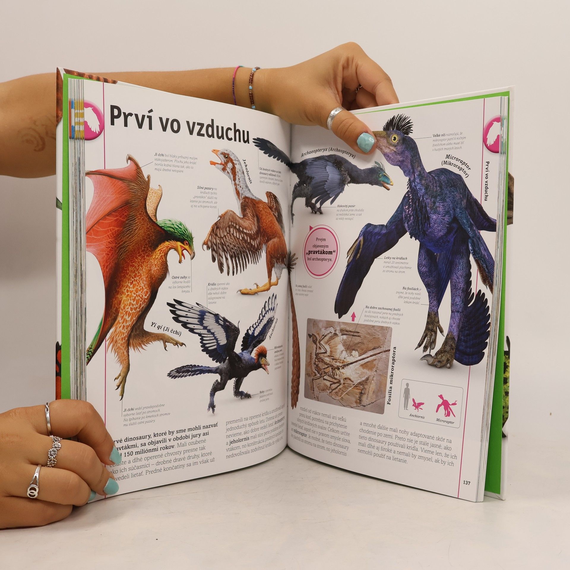John Woodward Dinosaury a iné praveké živočíchy
