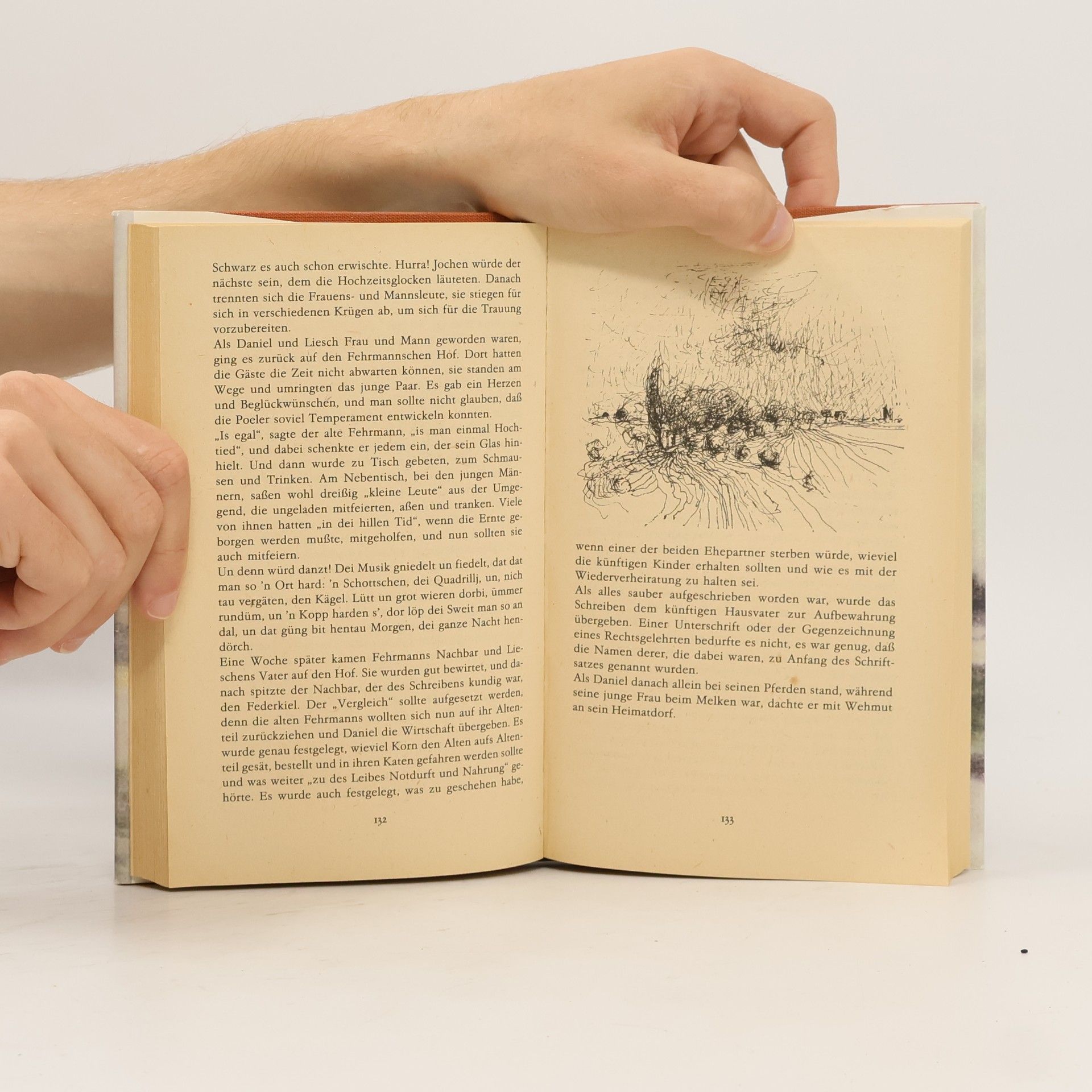 Fritz Meyer Scharffenberg Wismar, die Insel Poel und der Klützer Winkel