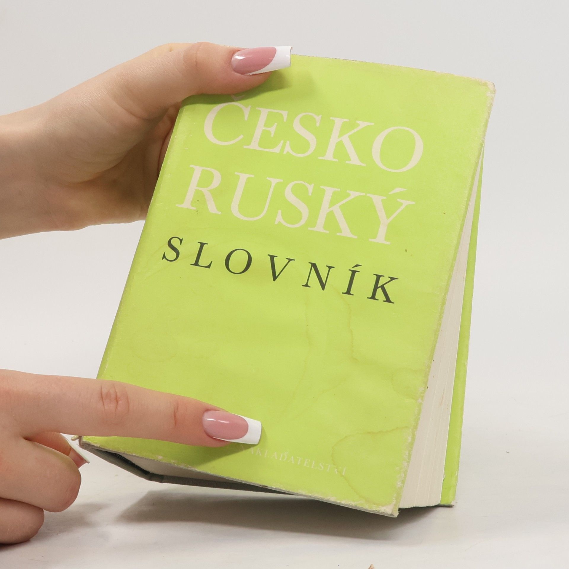 Kolektiv autorů Česko-ruský slovník