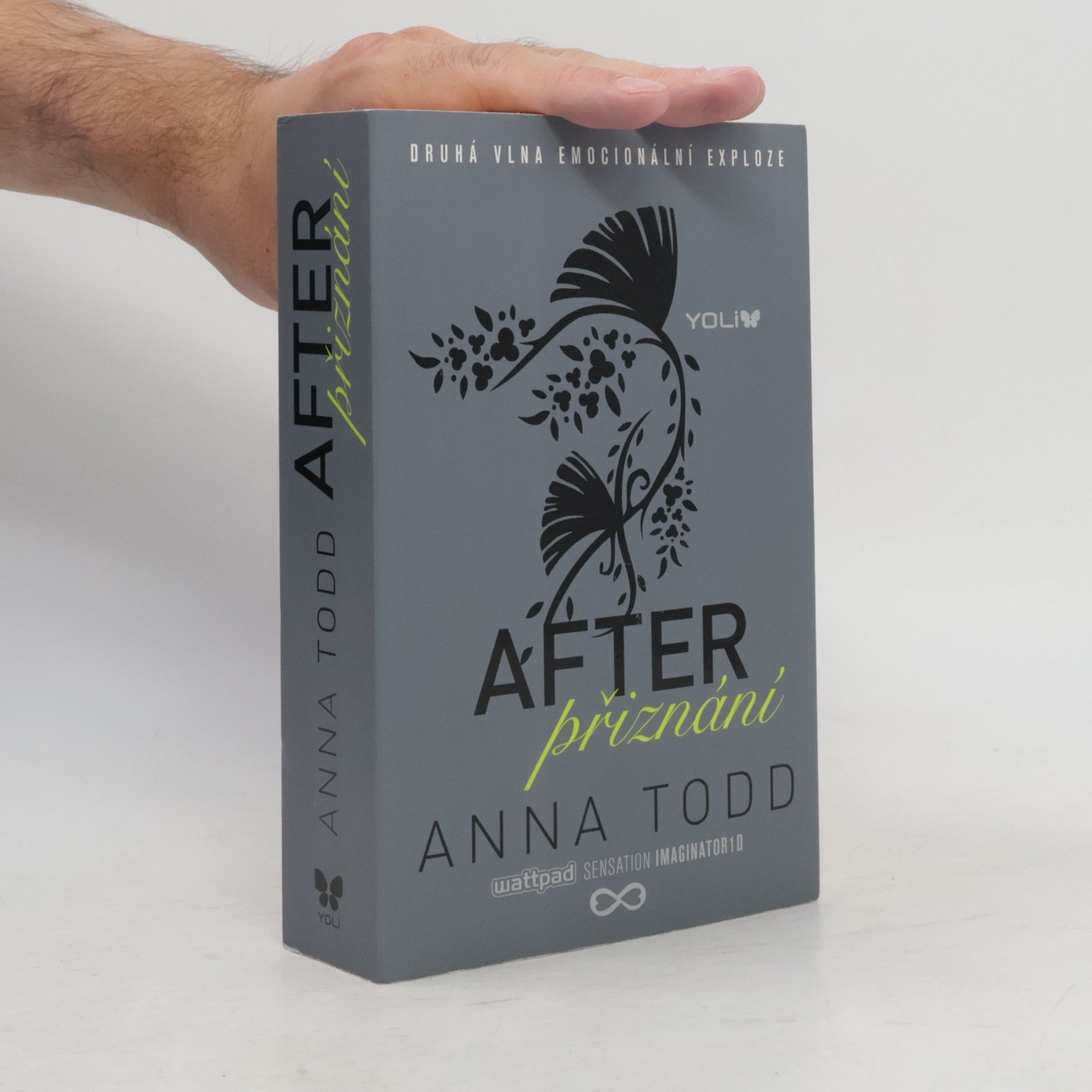 Anna Todd After. Přiznání