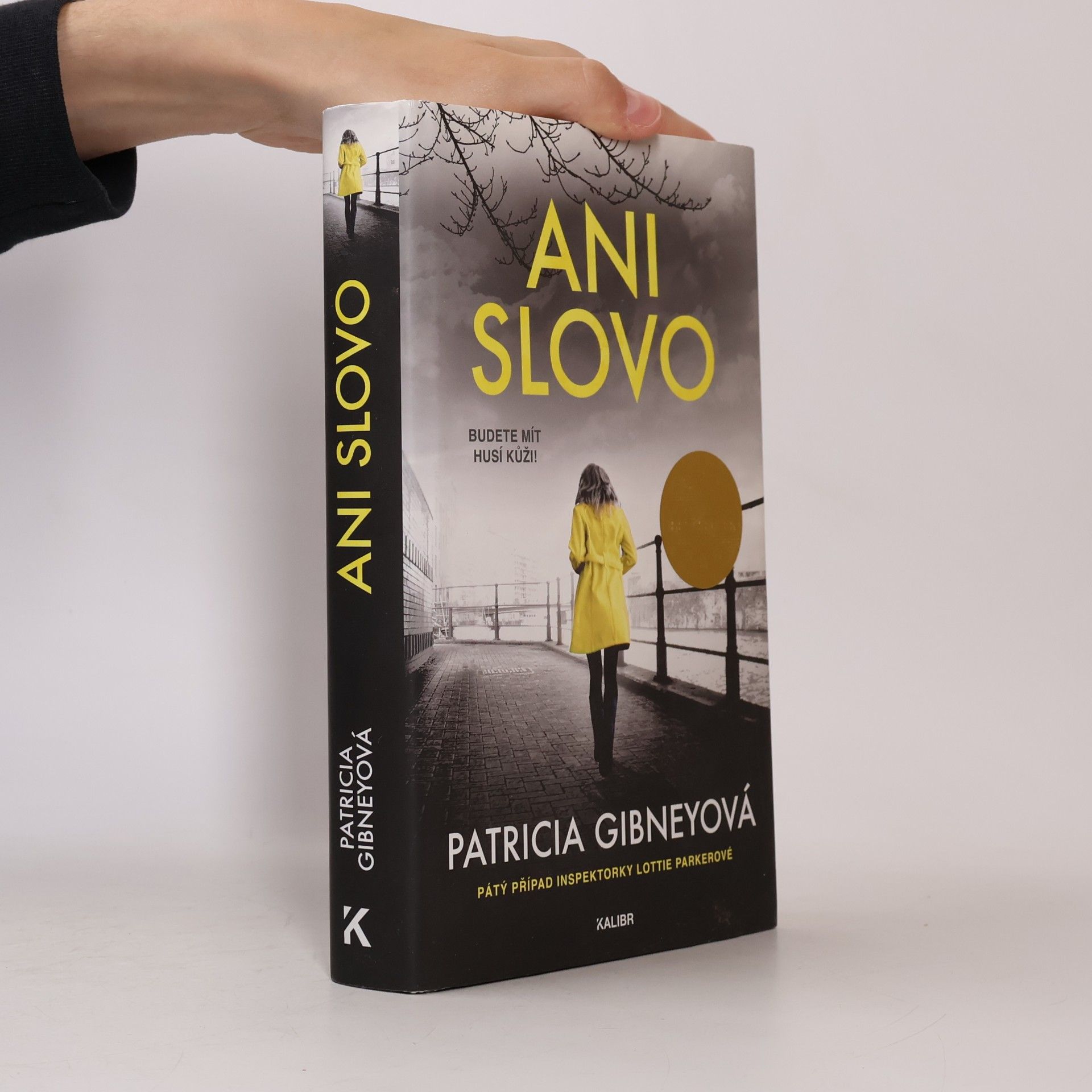 Patricia Gibney Ani slovo