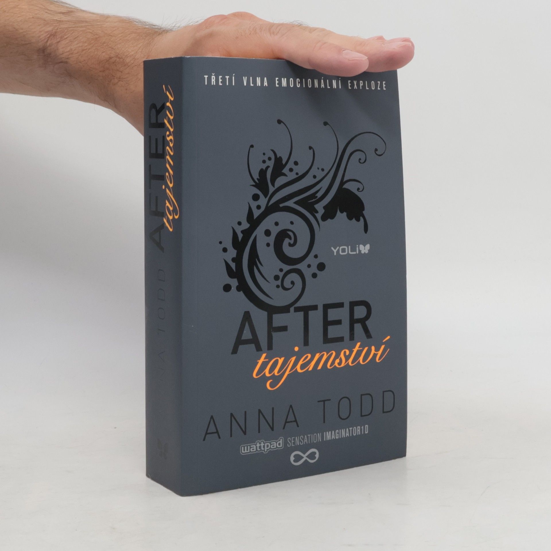 Anna Todd After. Tajemství