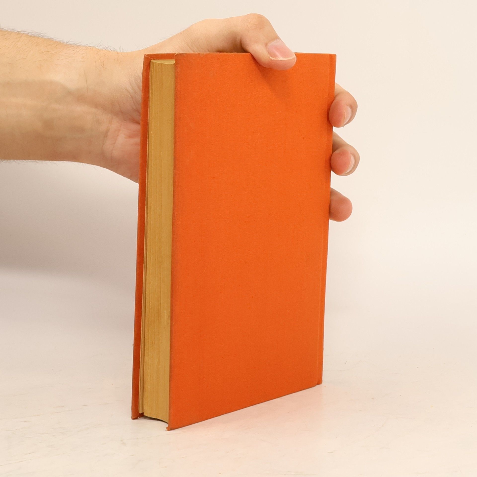 Guy de Maupassant Meisternovellen 2